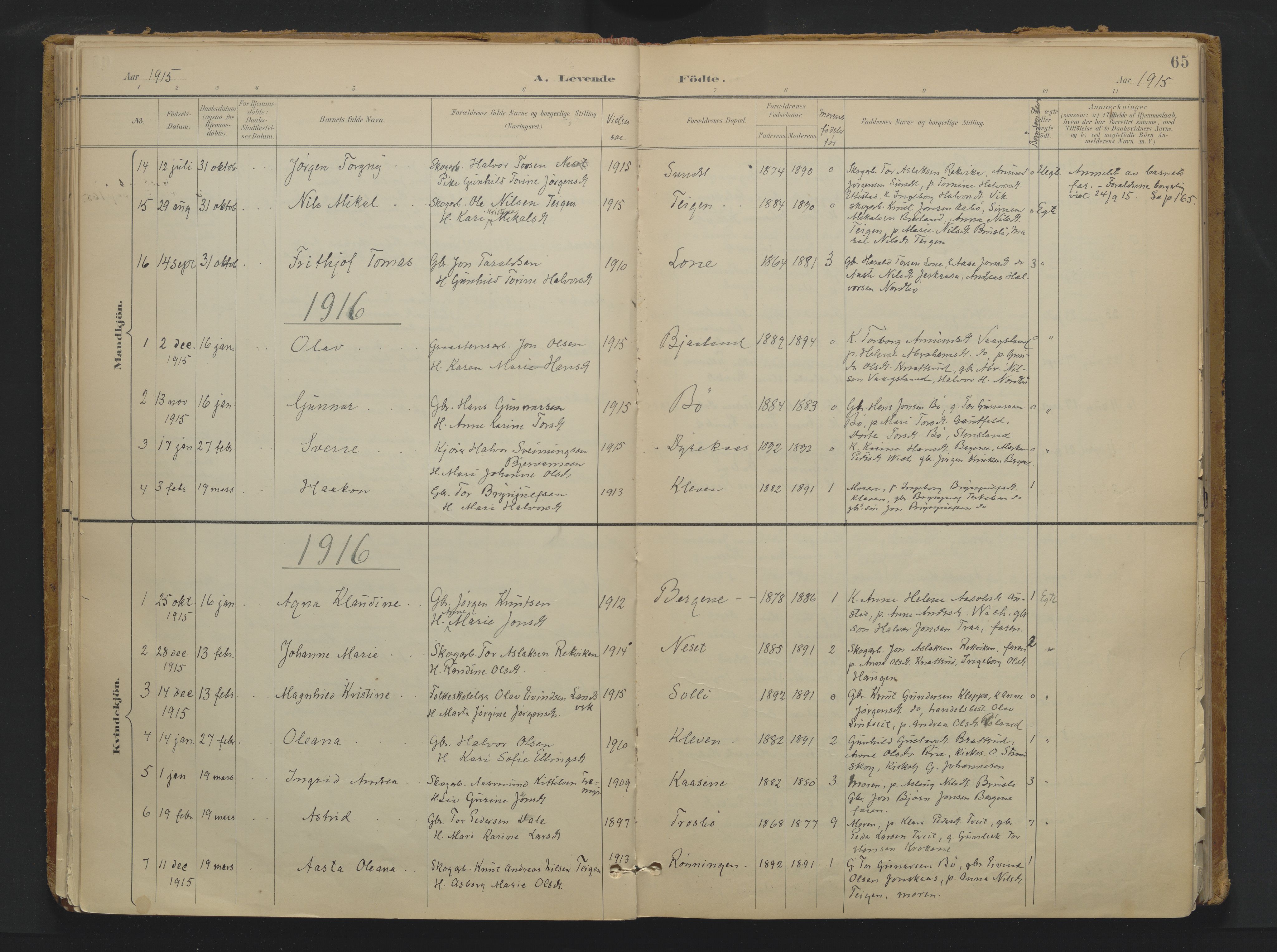 Drangedal kirkebøker, SAKO/A-258/F/Fa/L0013: Parish register (official) no. 13, 1895-1919, p. 65