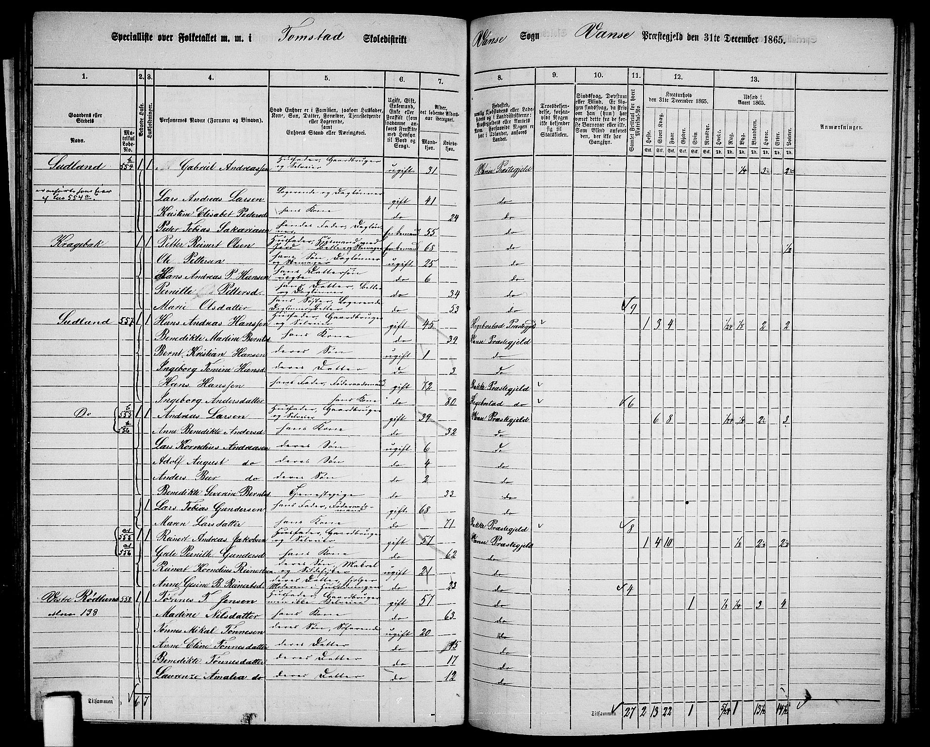 RA, 1865 census for Vanse/Vanse og Farsund, 1865, p. 211