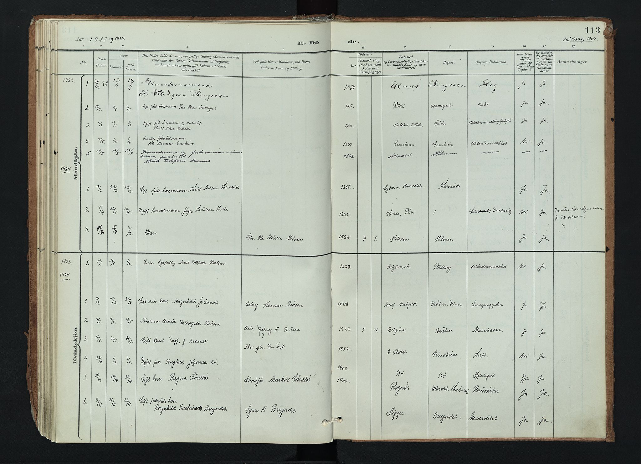Nord-Aurdal prestekontor, SAH/PREST-132/H/Ha/Haa/L0017: Parish register (official) no. 17, 1897-1926, p. 113