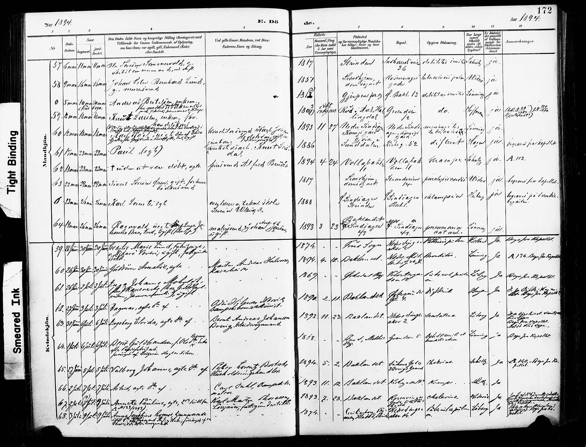 Ministerialprotokoller, klokkerbøker og fødselsregistre - Sør-Trøndelag, AV/SAT-A-1456/604/L0198: Parish register (official) no. 604A19, 1893-1900, p. 172