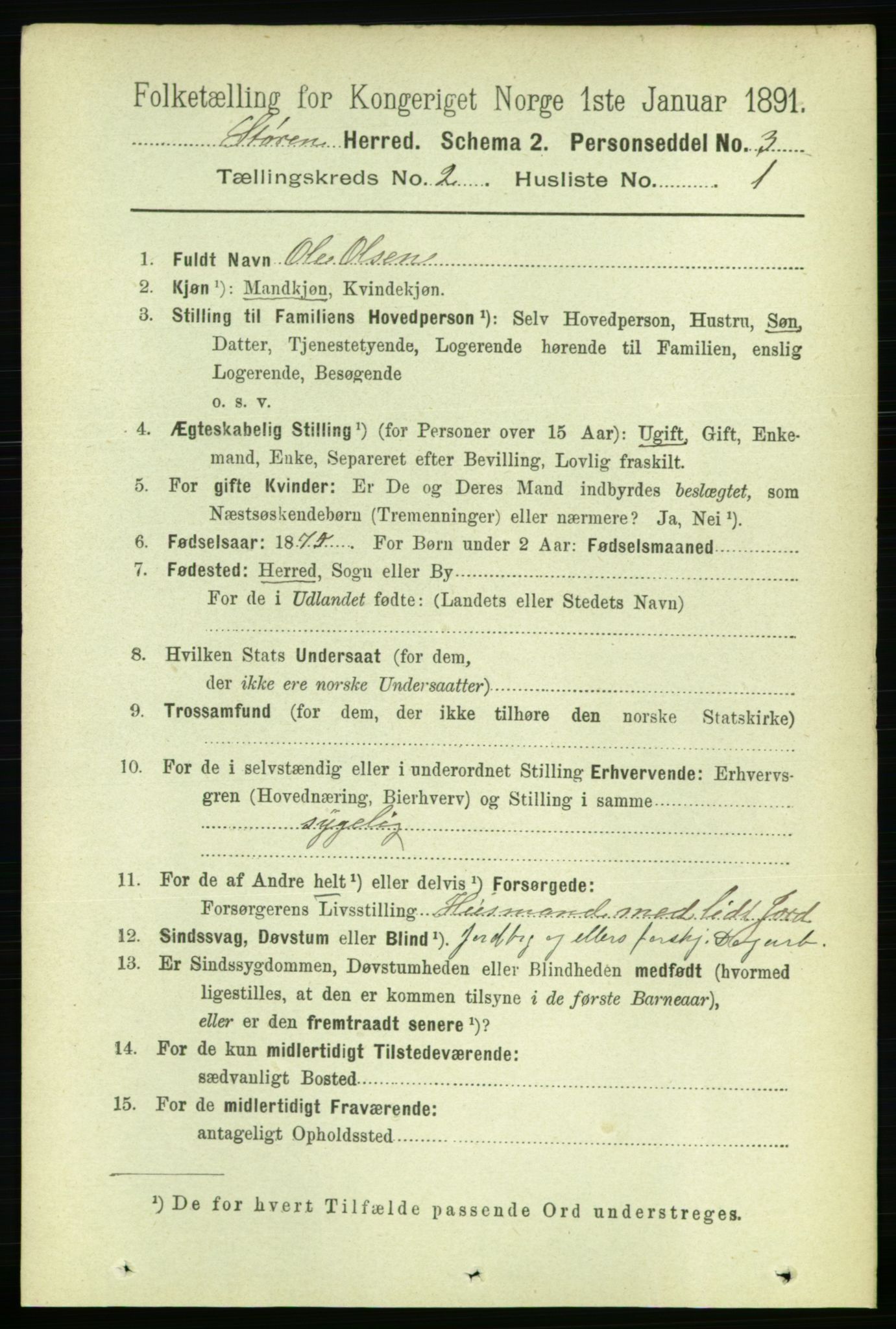 RA, 1891 census for 1648 Støren, 1891, p. 415