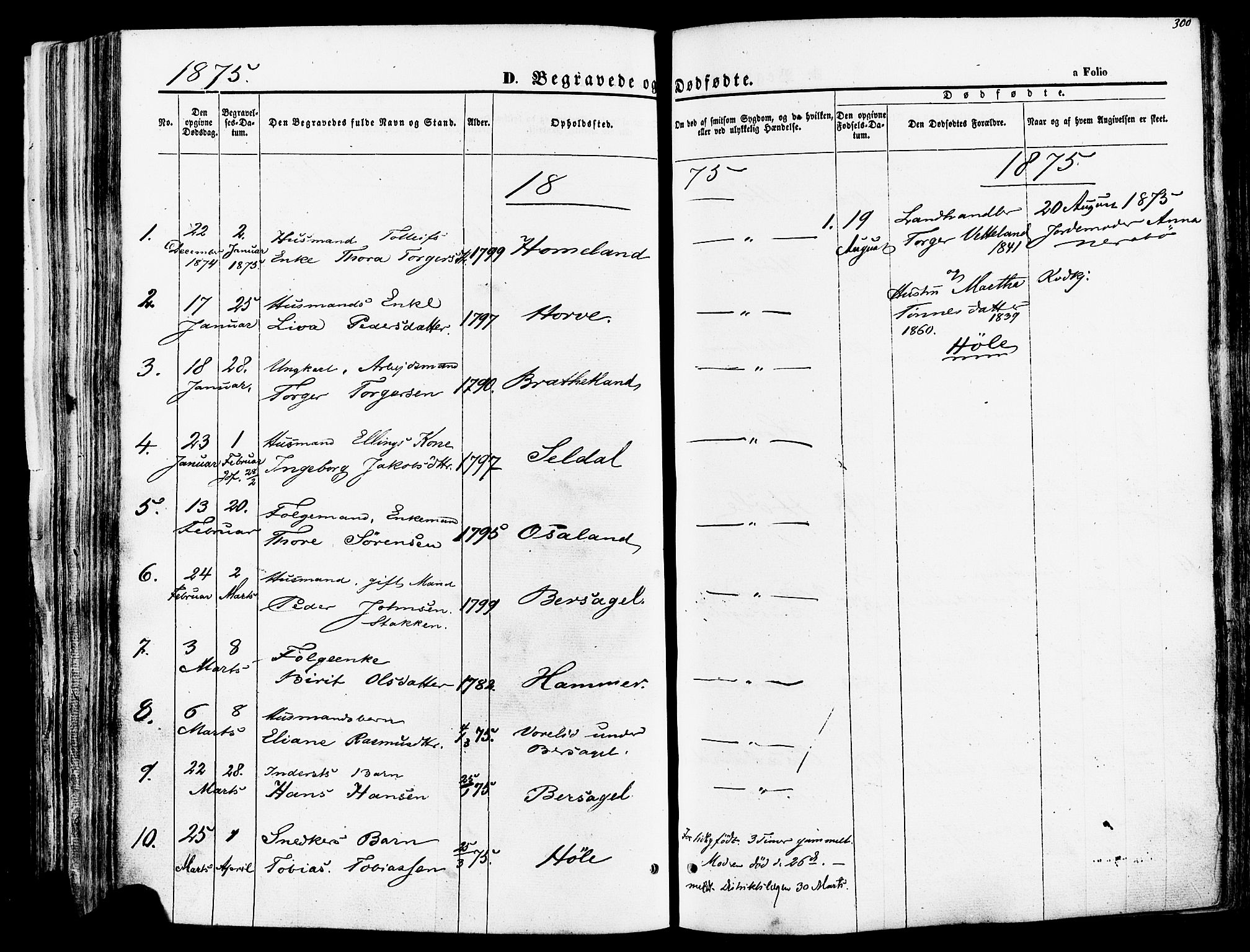 Høgsfjord sokneprestkontor, SAST/A-101624/H/Ha/Haa/L0002: Parish register (official) no. A 2, 1855-1885, p. 300