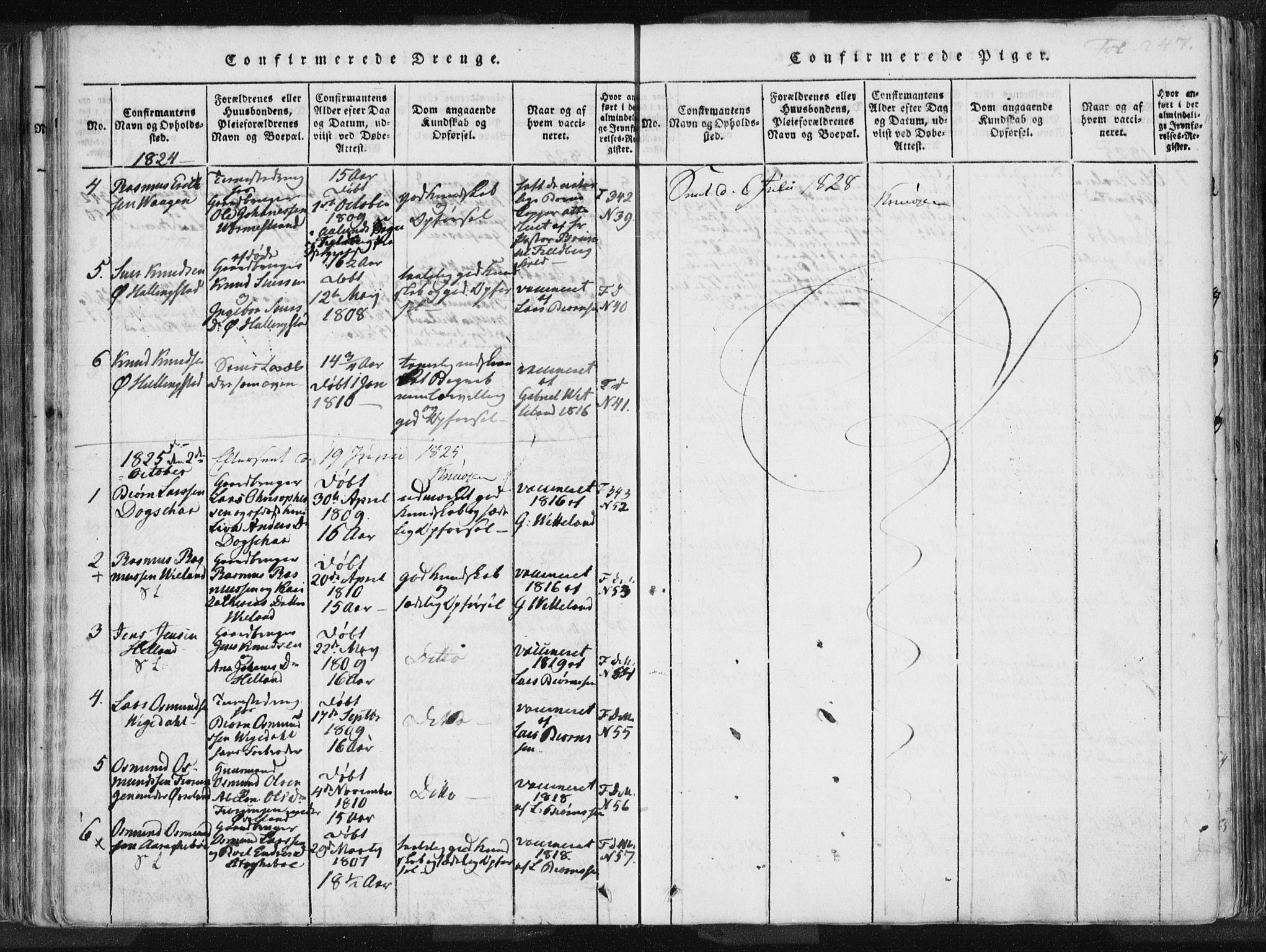 Vikedal sokneprestkontor, SAST/A-101840/01/IV: Parish register (official) no. A 3, 1817-1850, p. 247