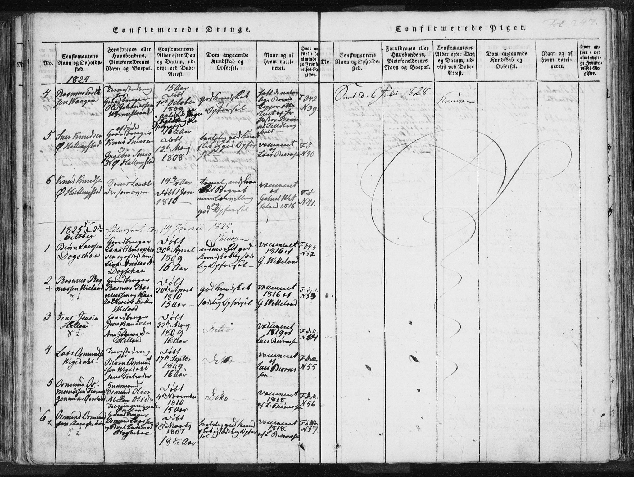 Vikedal sokneprestkontor, AV/SAST-A-101840/01/IV: Parish register (official) no. A 3, 1817-1850, p. 247