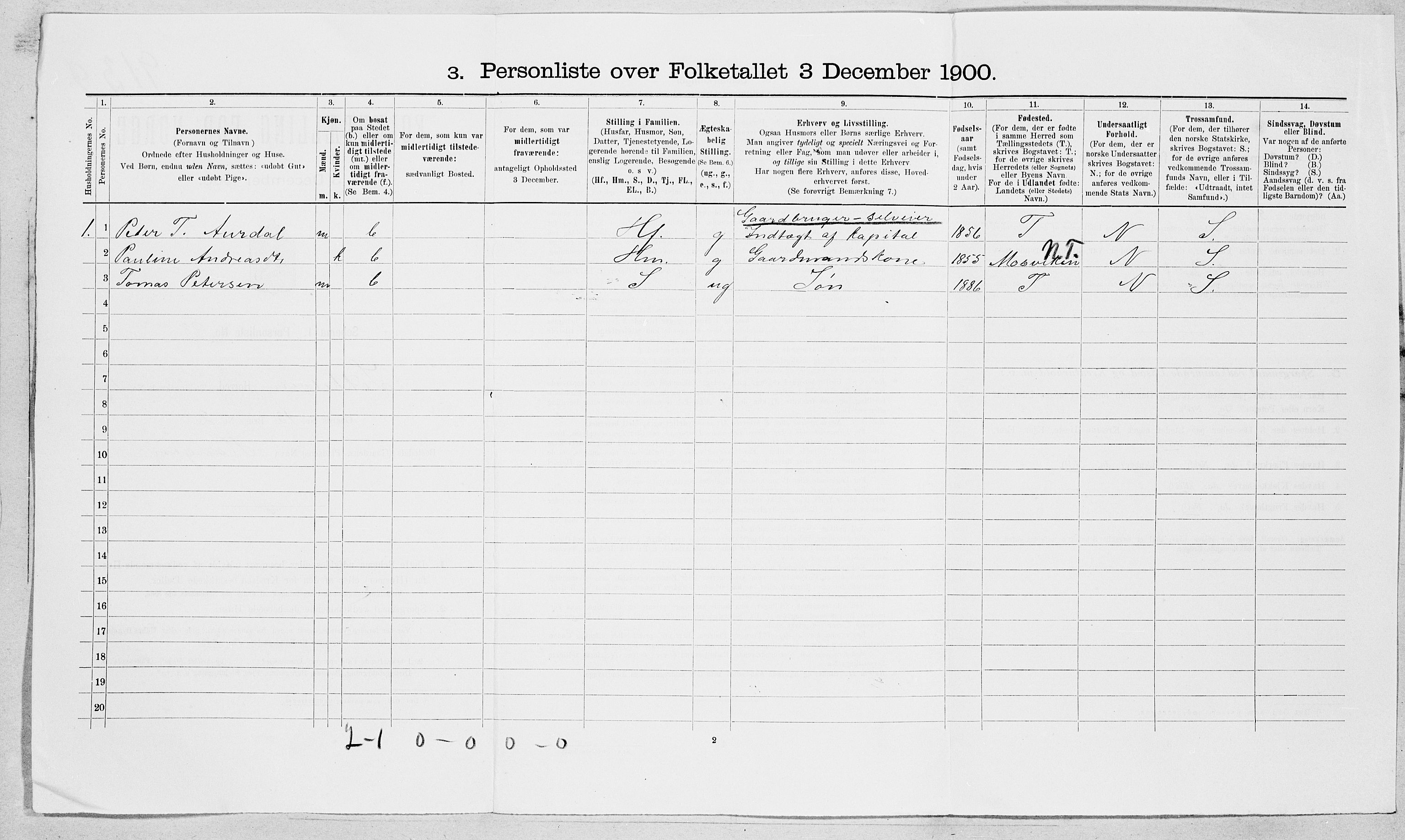 SAT, 1900 census for Sykkylven, 1900, p. 29