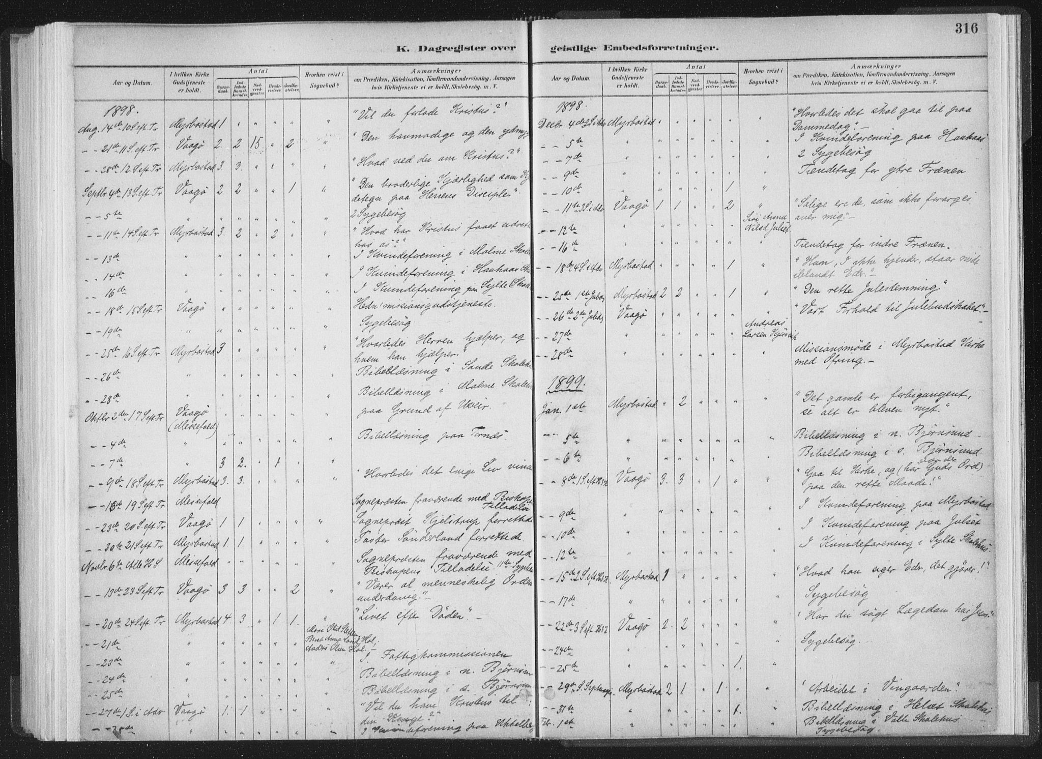 Ministerialprotokoller, klokkerbøker og fødselsregistre - Møre og Romsdal, AV/SAT-A-1454/564/L0740: Parish register (official) no. 564A01, 1880-1899, p. 316