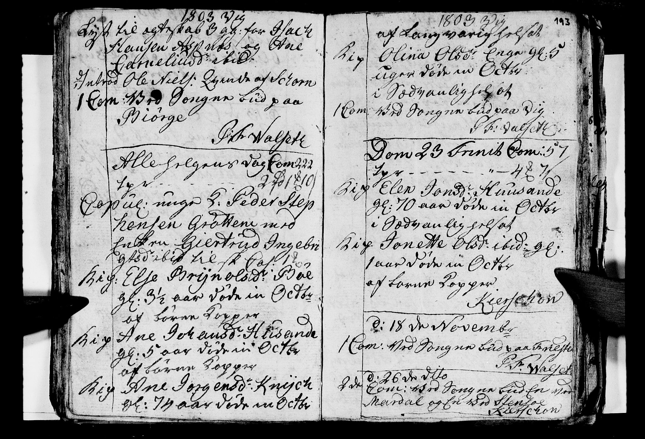 Ministerialprotokoller, klokkerbøker og fødselsregistre - Nordland, AV/SAT-A-1459/812/L0184: Parish register (copy) no. 812C02, 1793-1809, p. 193