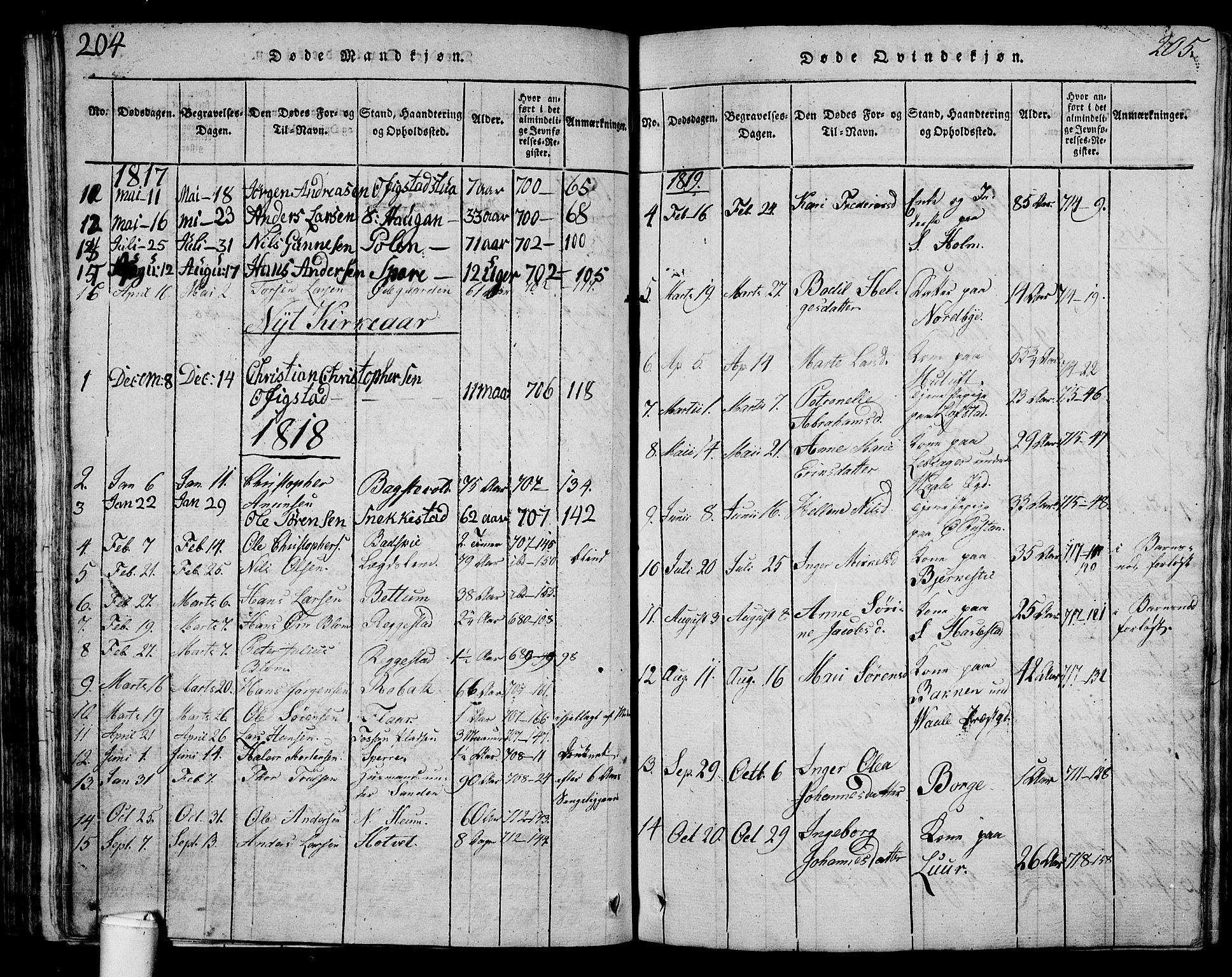 Våle kirkebøker, AV/SAKO-A-334/G/Ga/L0001: Parish register (copy) no. I 1, 1814-1824, p. 204-205