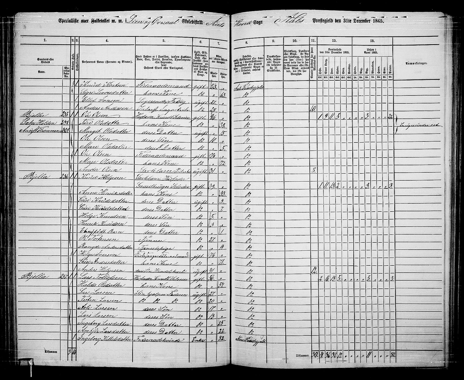 RA, 1865 census for Ål, 1865, p. 131