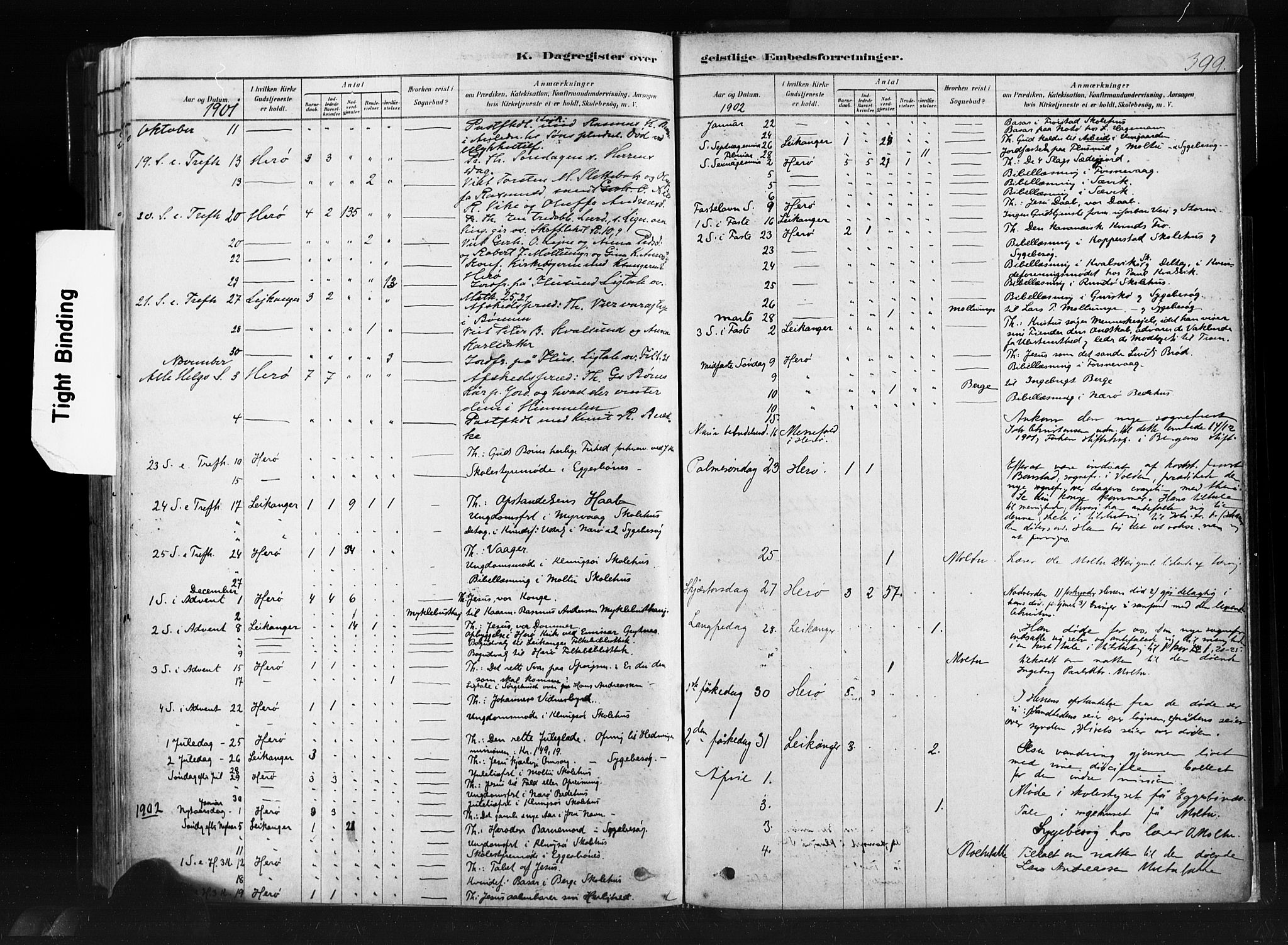 Ministerialprotokoller, klokkerbøker og fødselsregistre - Møre og Romsdal, SAT/A-1454/507/L0073: Parish register (official) no. 507A08, 1878-1904, p. 399