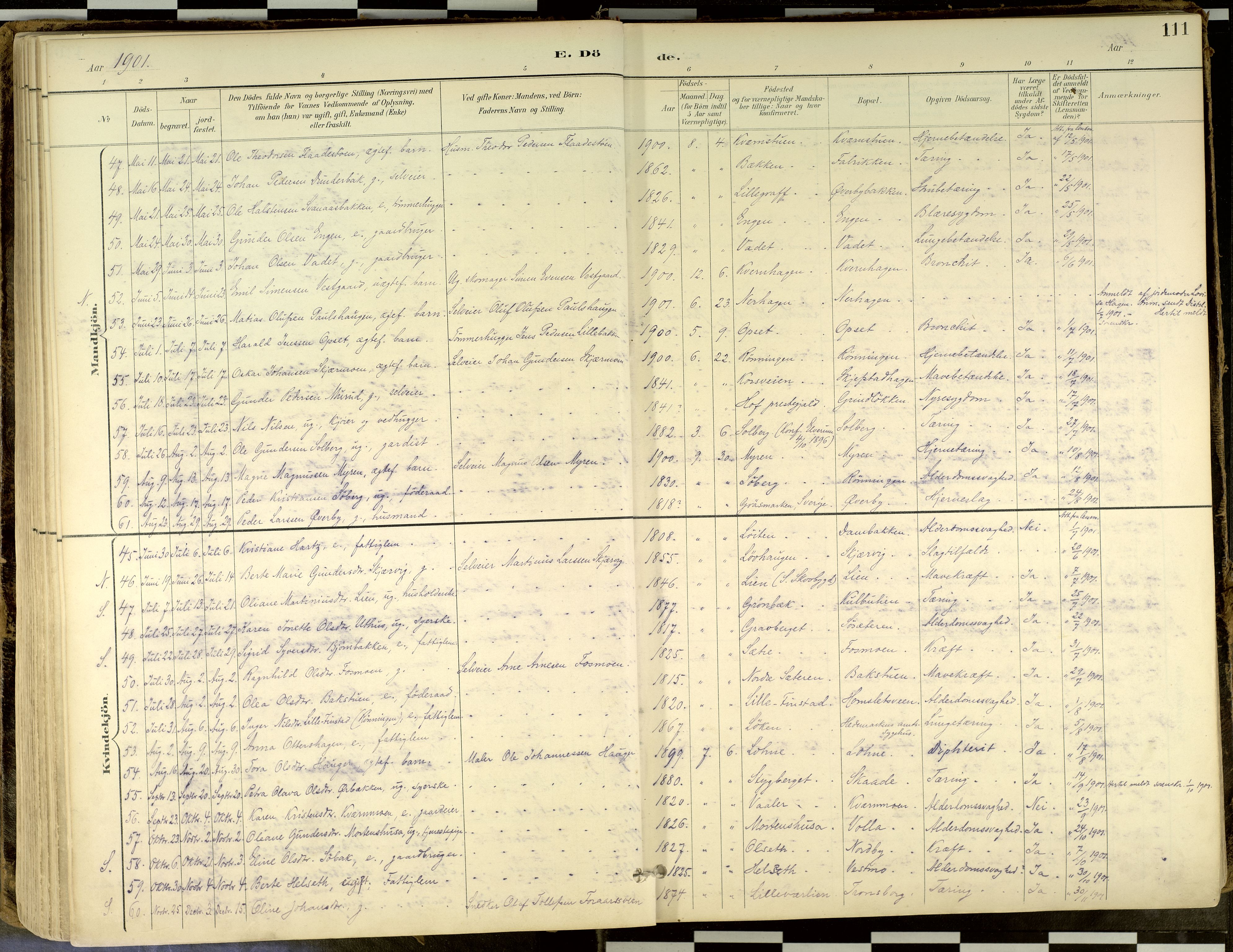 Elverum prestekontor, AV/SAH-PREST-044/H/Ha/Haa/L0018: Parish register (official) no. 18, 1894-1914, p. 111