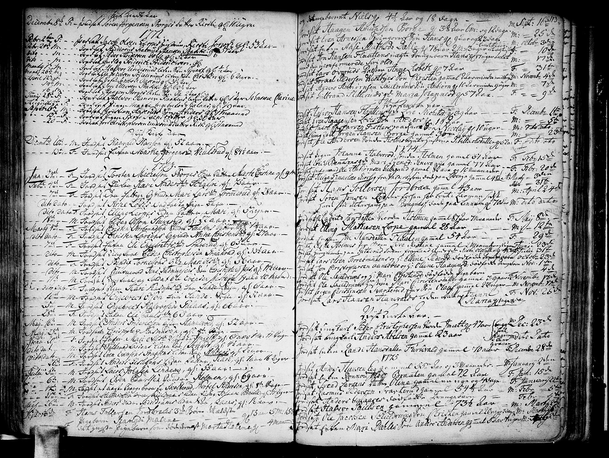 Skoger kirkebøker, SAKO/A-59/F/Fa/L0001: Parish register (official) no. I 1, 1746-1814, p. 113