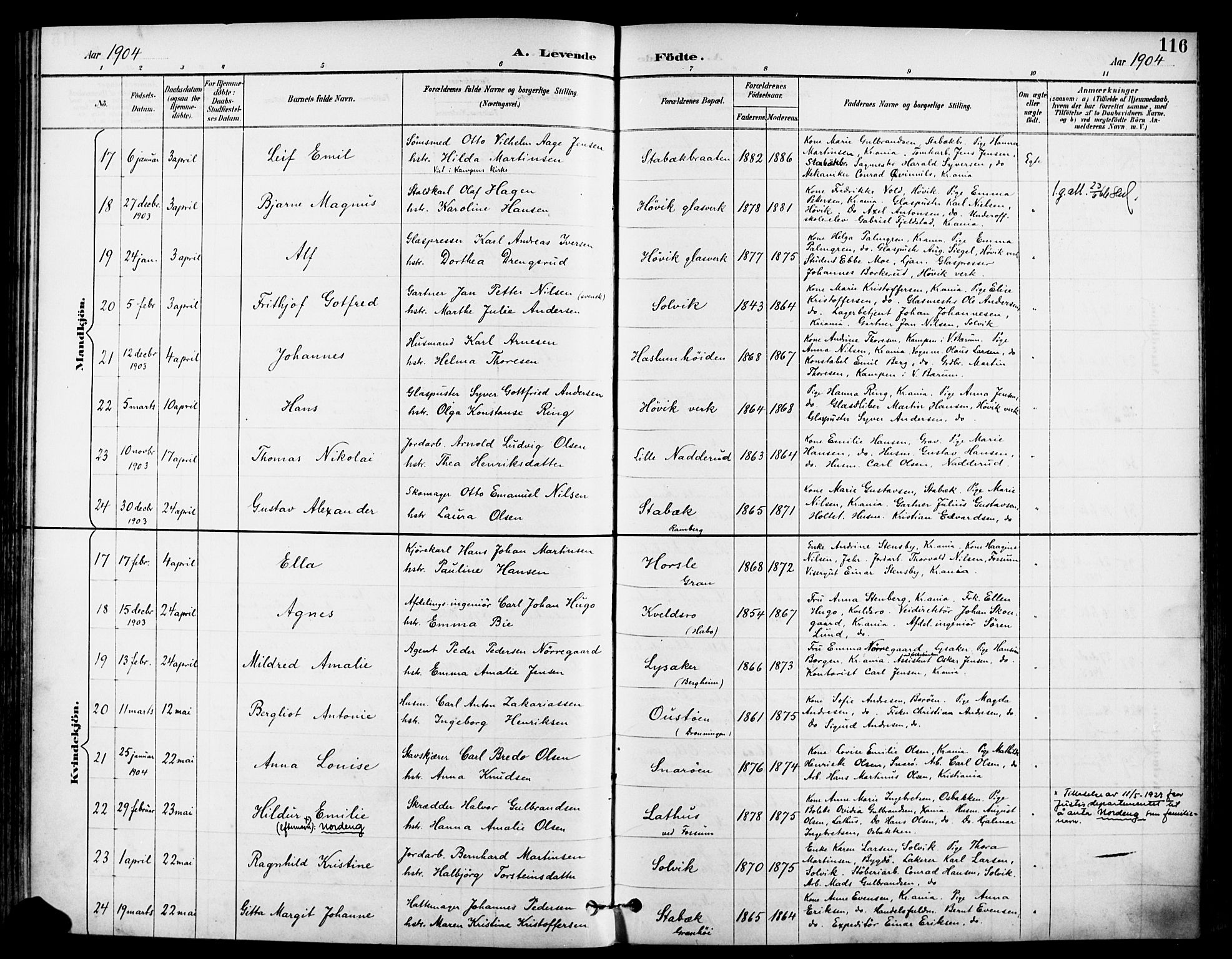 Asker prestekontor Kirkebøker, SAO/A-10256a/F/Fc/L0003: Parish register (official) no. III 3, 1892-1904, p. 116