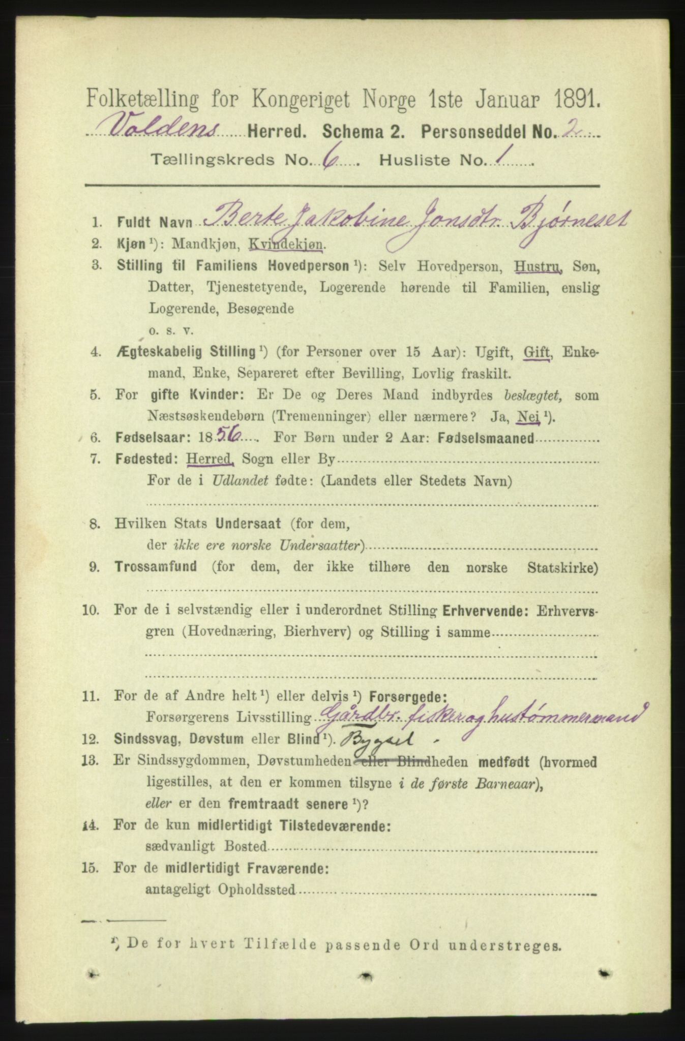 RA, 1891 census for 1519 Volda, 1891, p. 2864