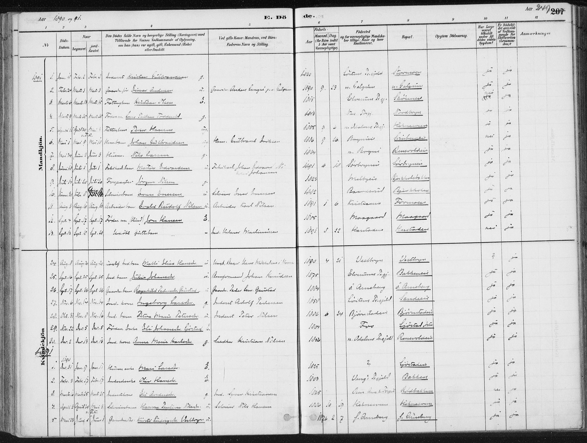Romedal prestekontor, SAH/PREST-004/K/L0010: Parish register (official) no. 10, 1880-1895, p. 249