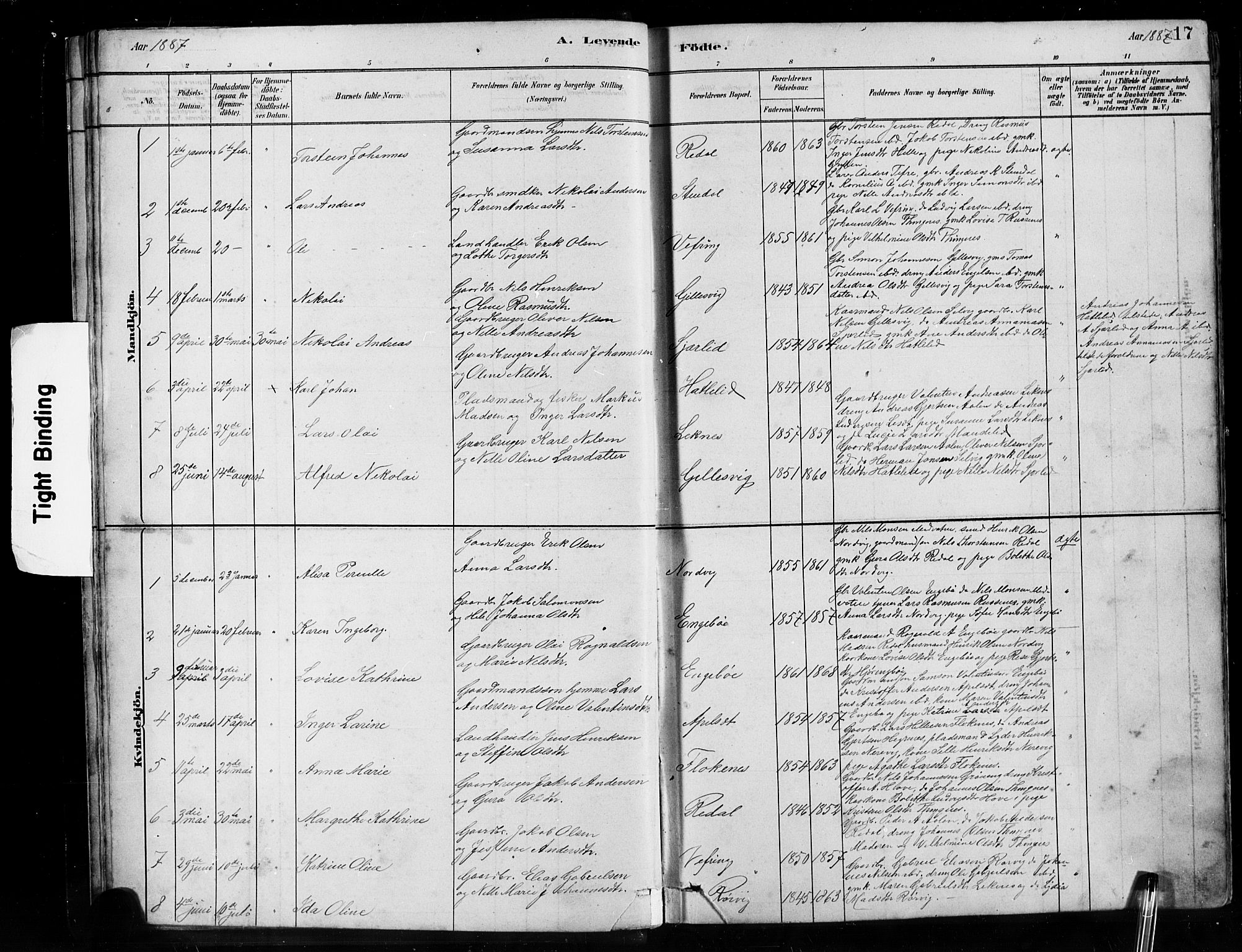 Førde sokneprestembete, AV/SAB-A-79901/H/Hab/Habe/L0001: Parish register (copy) no. E 1, 1881-1920, p. 17