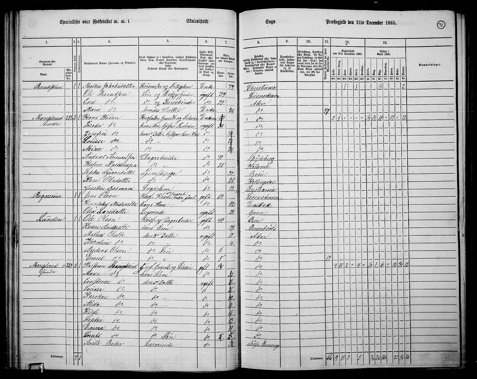 RA, 1865 census for Østre Aker, 1865, p. 295