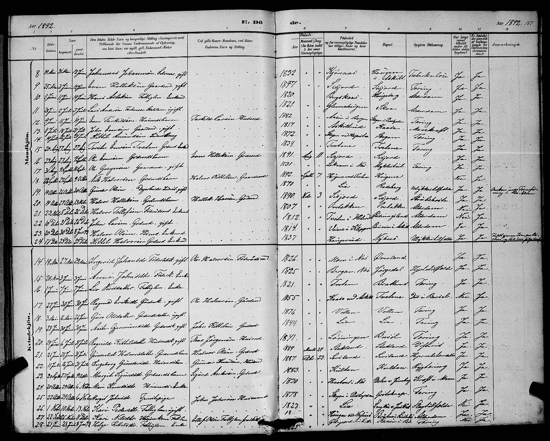 Bø kirkebøker, SAKO/A-257/G/Ga/L0005: Parish register (copy) no. 5, 1883-1897, p. 187