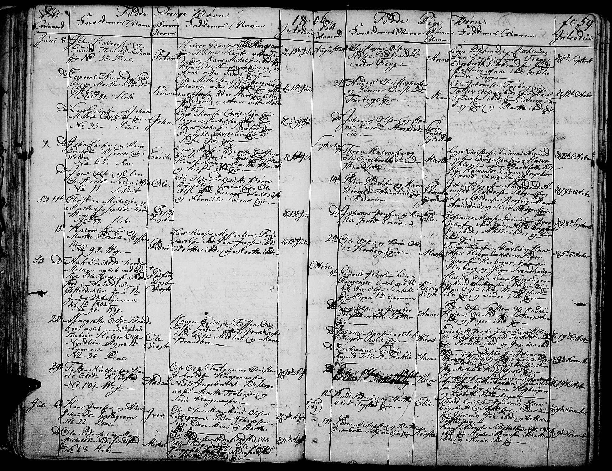 Ringsaker prestekontor, AV/SAH-PREST-014/K/Ka/L0004: Parish register (official) no. 4, 1799-1814, p. 59