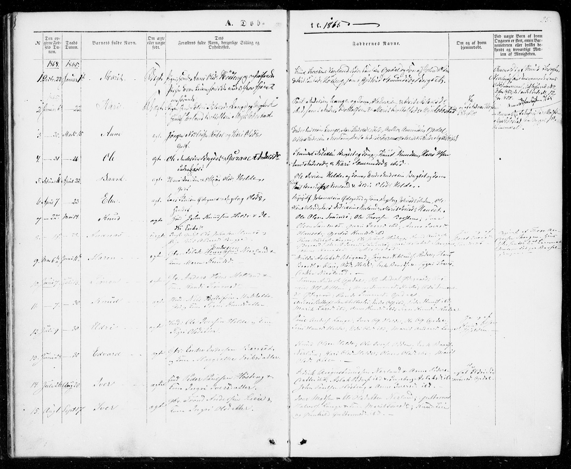 Ministerialprotokoller, klokkerbøker og fødselsregistre - Møre og Romsdal, SAT/A-1454/554/L0643: Parish register (official) no. 554A01, 1846-1879, p. 25