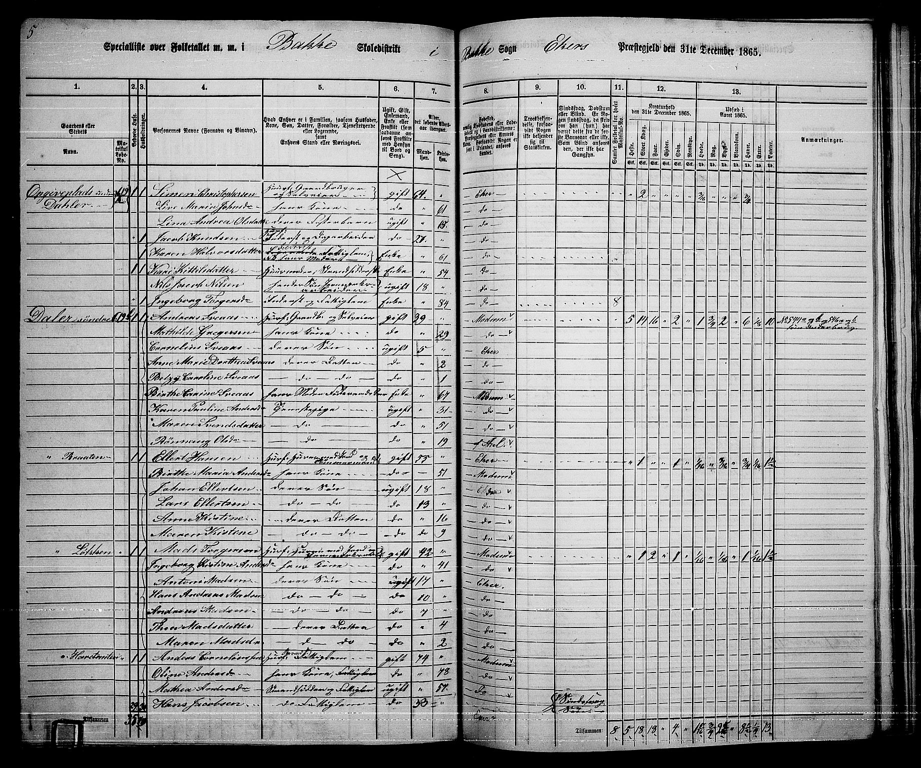 RA, 1865 census for Eiker, 1865, p. 440