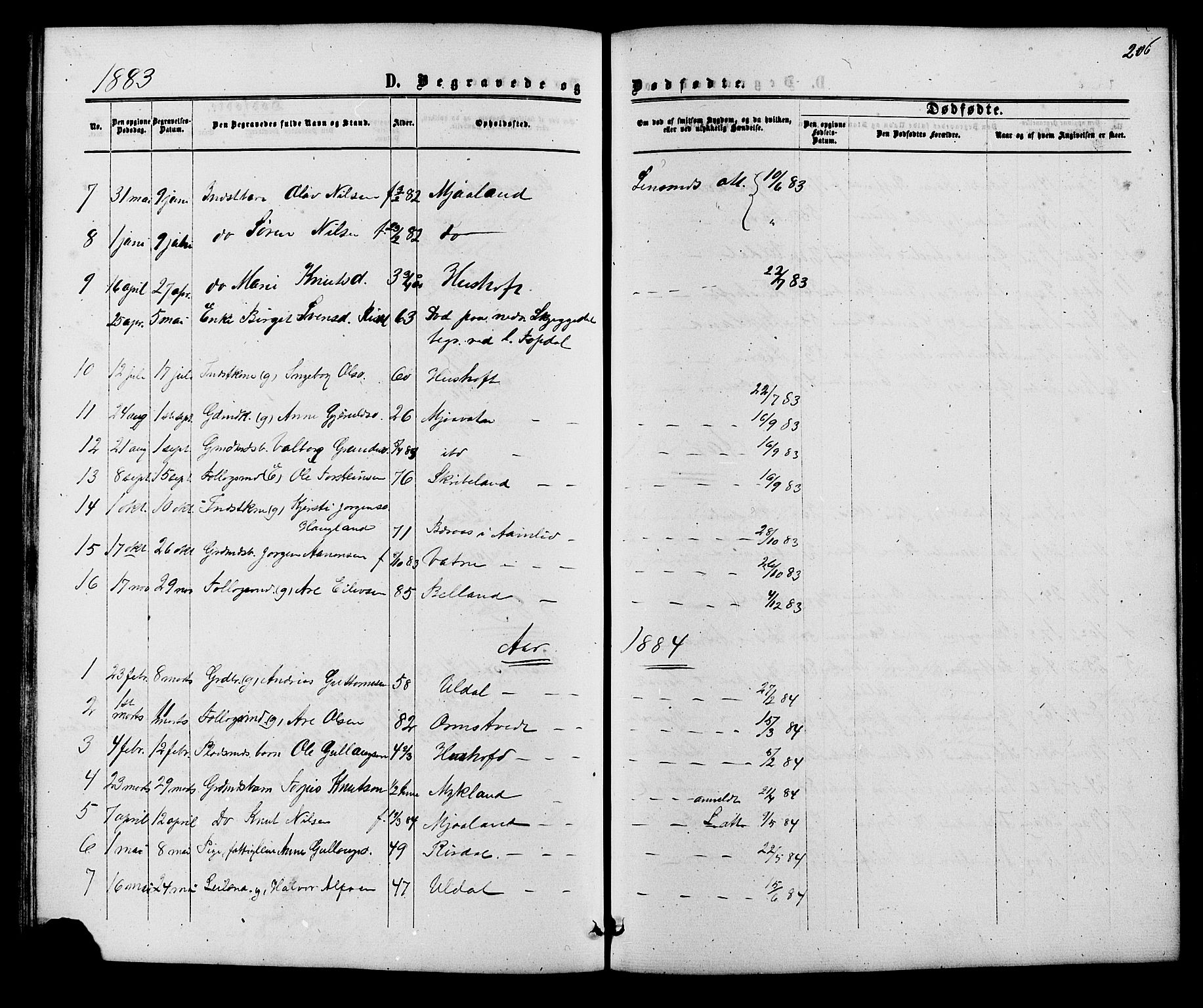 Herefoss sokneprestkontor, AV/SAK-1111-0019/F/Fb/Fbc/L0002: Parish register (copy) no. B 2, 1867-1886, p. 206