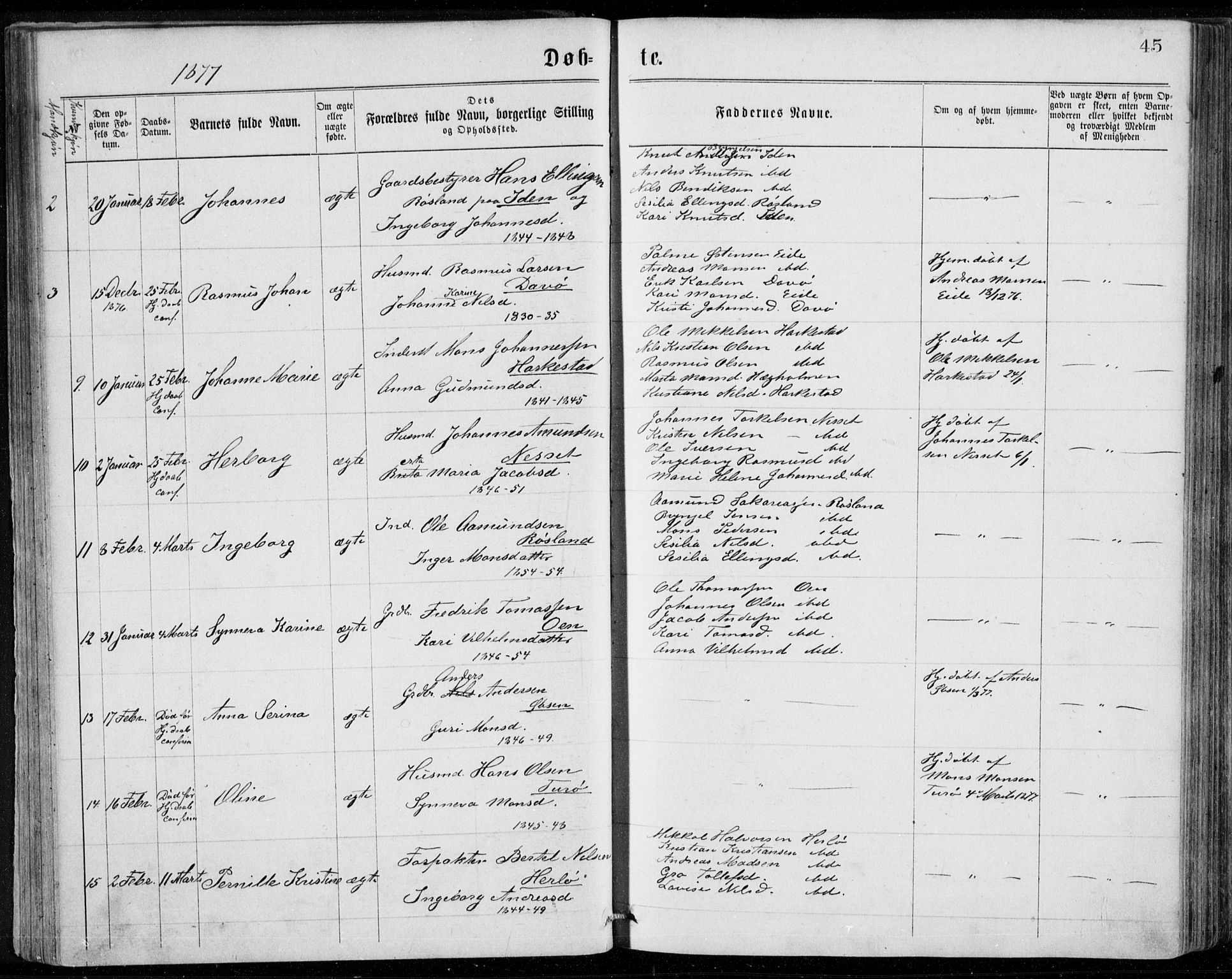 Herdla Sokneprestembete, AV/SAB-A-75701/H/Haa: Parish register (official) no. A 2, 1869-1877, p. 45