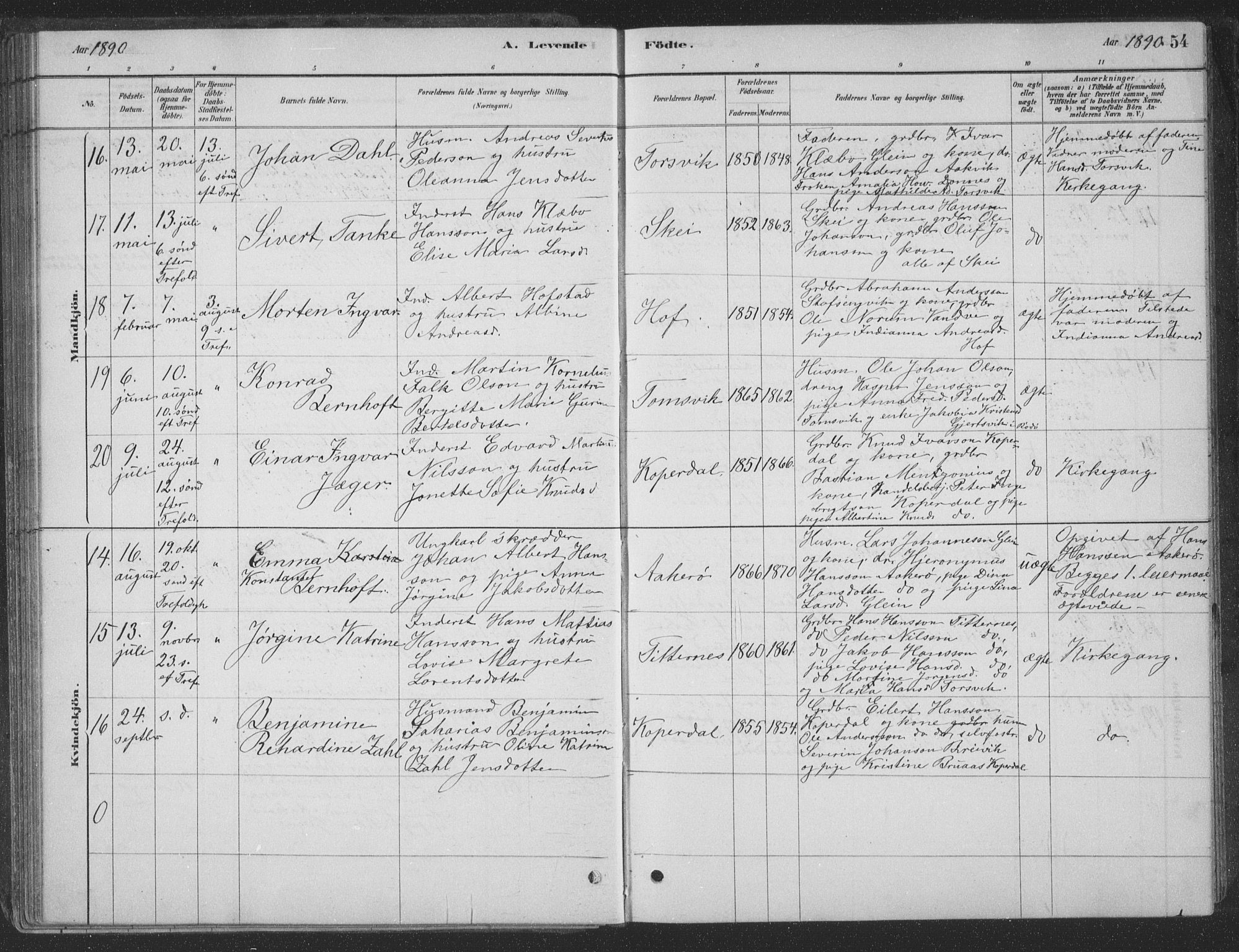 Ministerialprotokoller, klokkerbøker og fødselsregistre - Nordland, AV/SAT-A-1459/835/L0532: Parish register (copy) no. 835C04, 1880-1905, p. 54