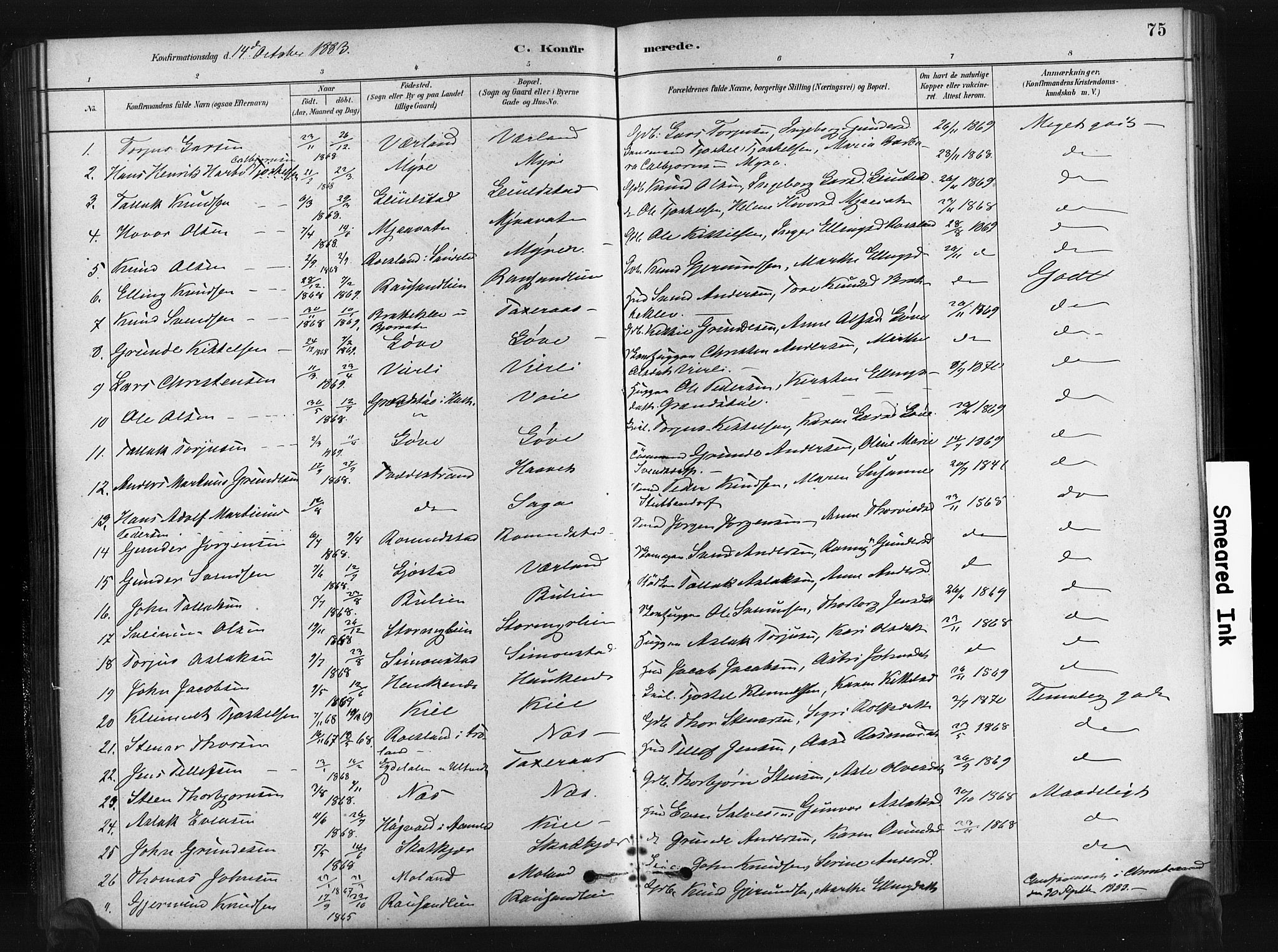 Gjerstad sokneprestkontor, SAK/1111-0014/F/Fa/Fab/L0004: Parish register (official) no. A 4, 1879-1890, p. 75
