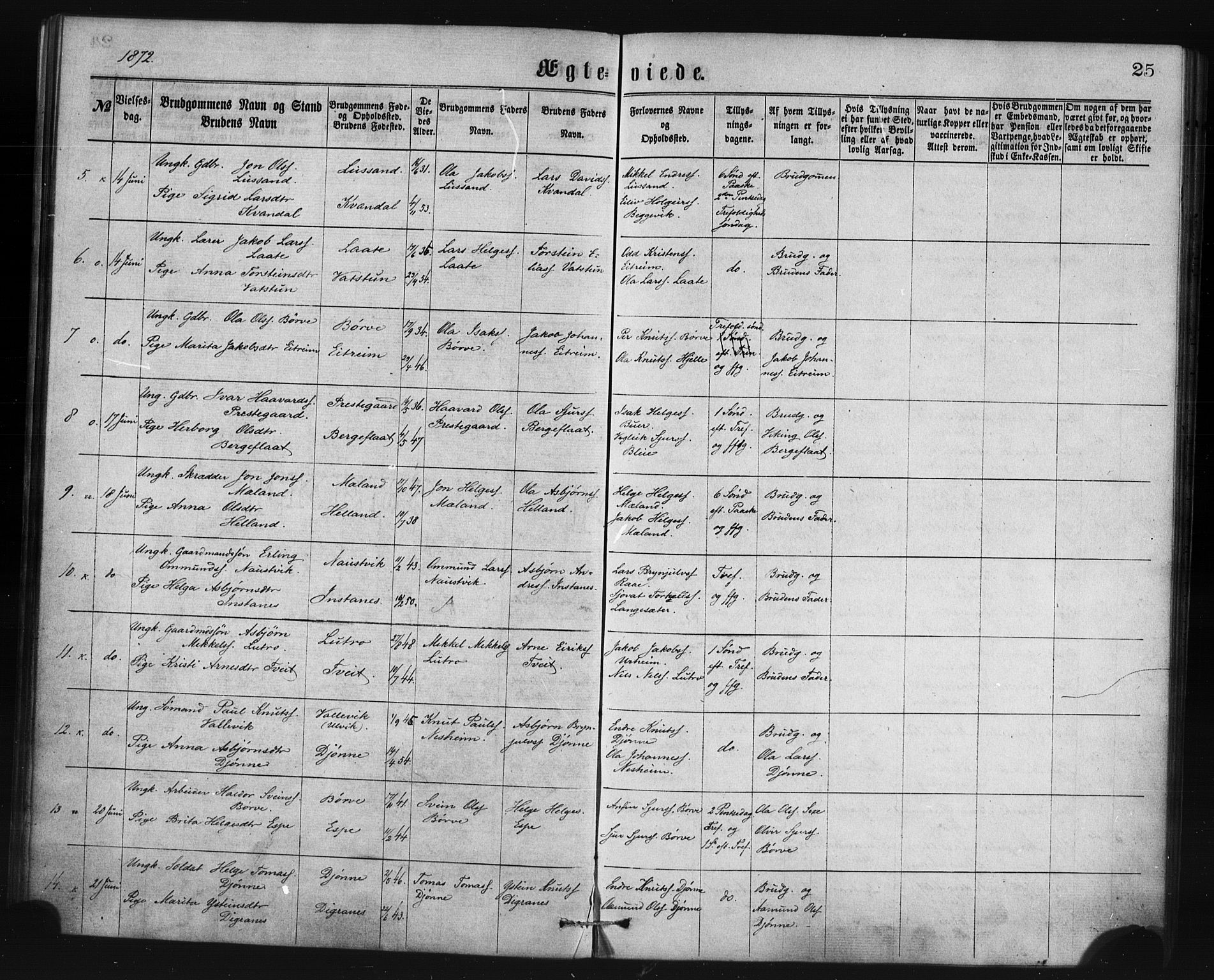 Ullensvang sokneprestembete, SAB/A-78701/H/Haa: Parish register (official) no. A 14, 1867-1882, p. 25