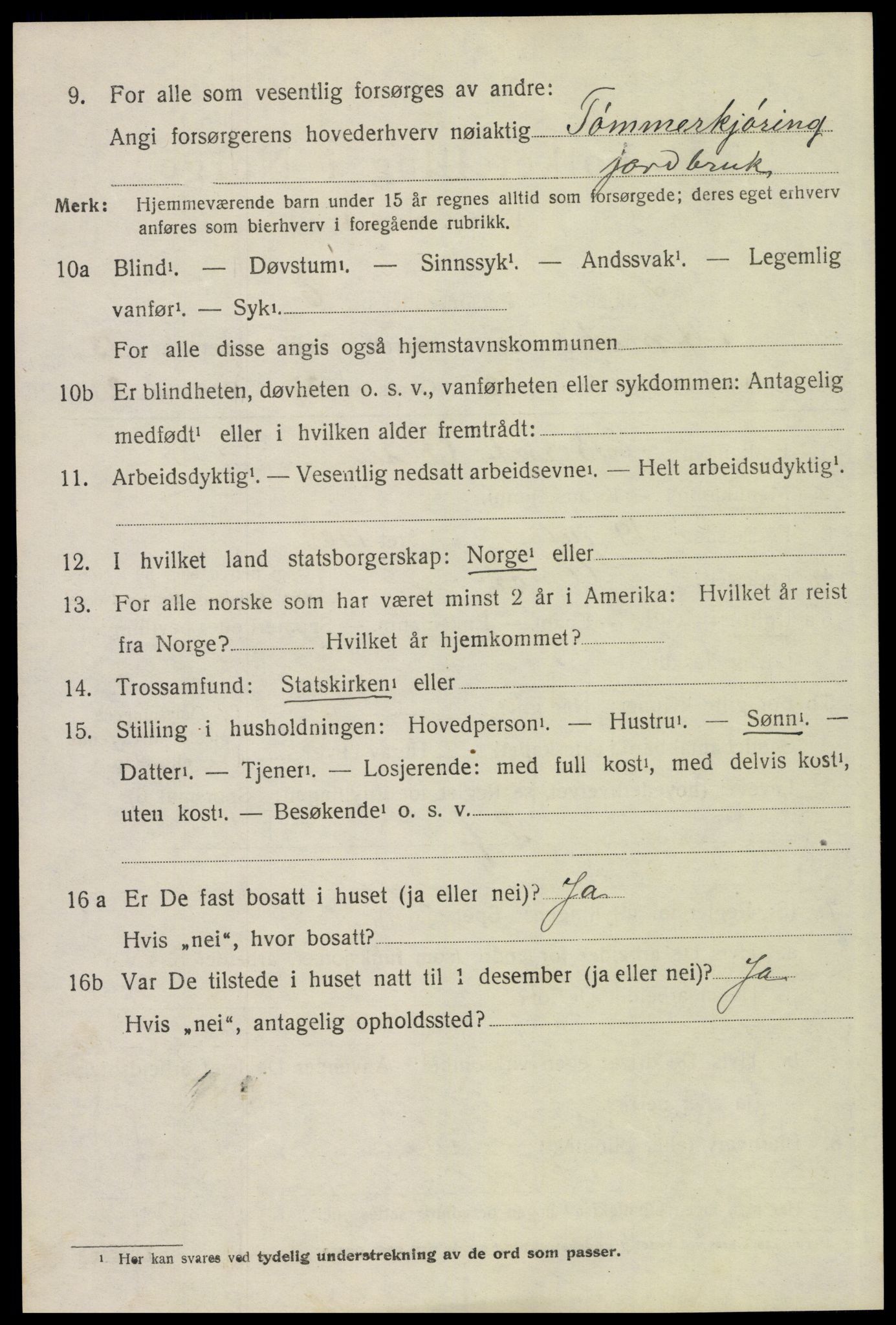 SAH, 1920 census for Åmot, 1920, p. 10894