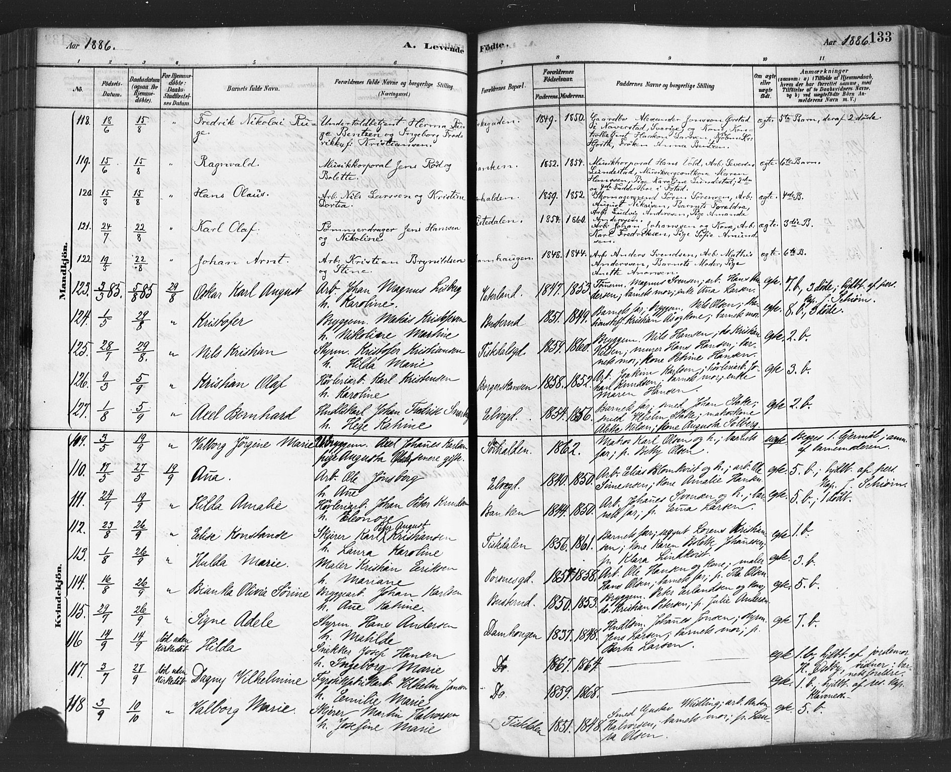 Halden prestekontor Kirkebøker, AV/SAO-A-10909/F/Fa/L0011: Parish register (official) no. I 11, 1878-1889, p. 133