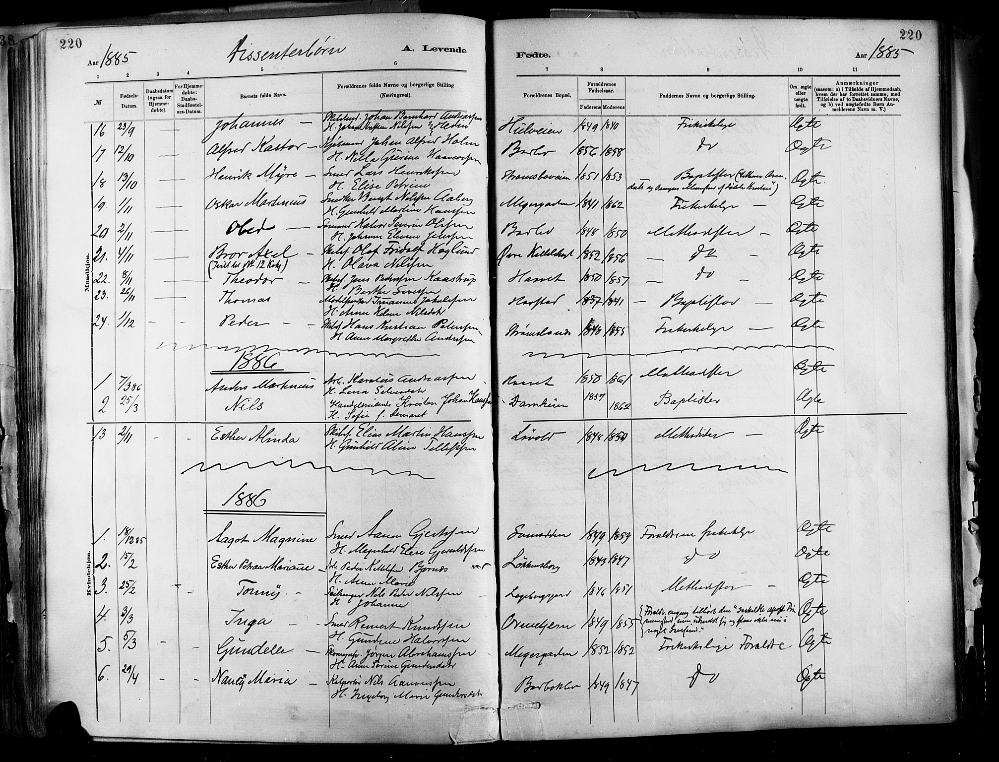 Barbu sokneprestkontor, SAK/1111-0003/F/Fa/L0002: Parish register (official) no. A 2, 1883-1898, p. 220