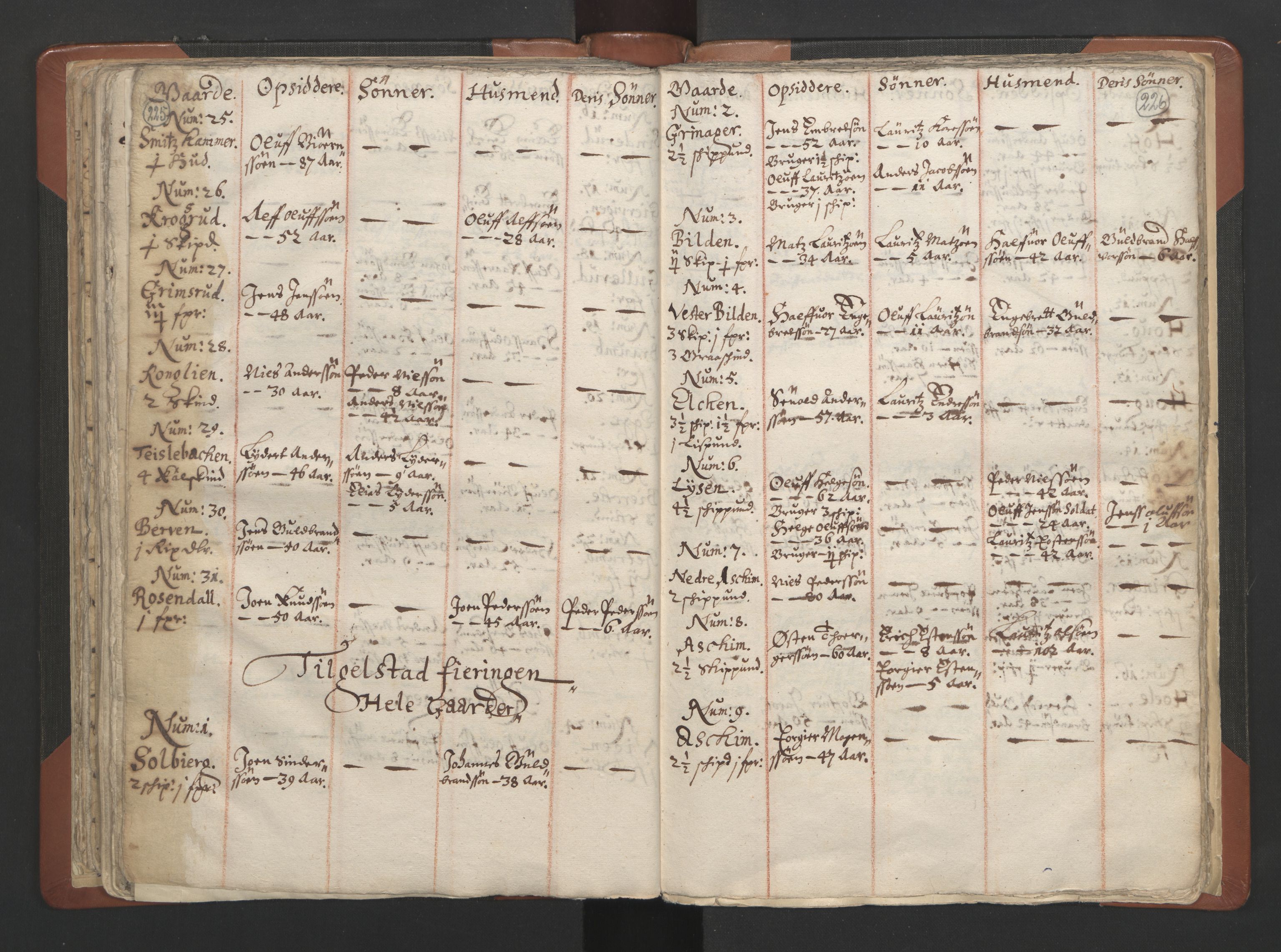 RA, Vicar's Census 1664-1666, no. 7: Hadeland deanery, 1664-1666, p. 225-226