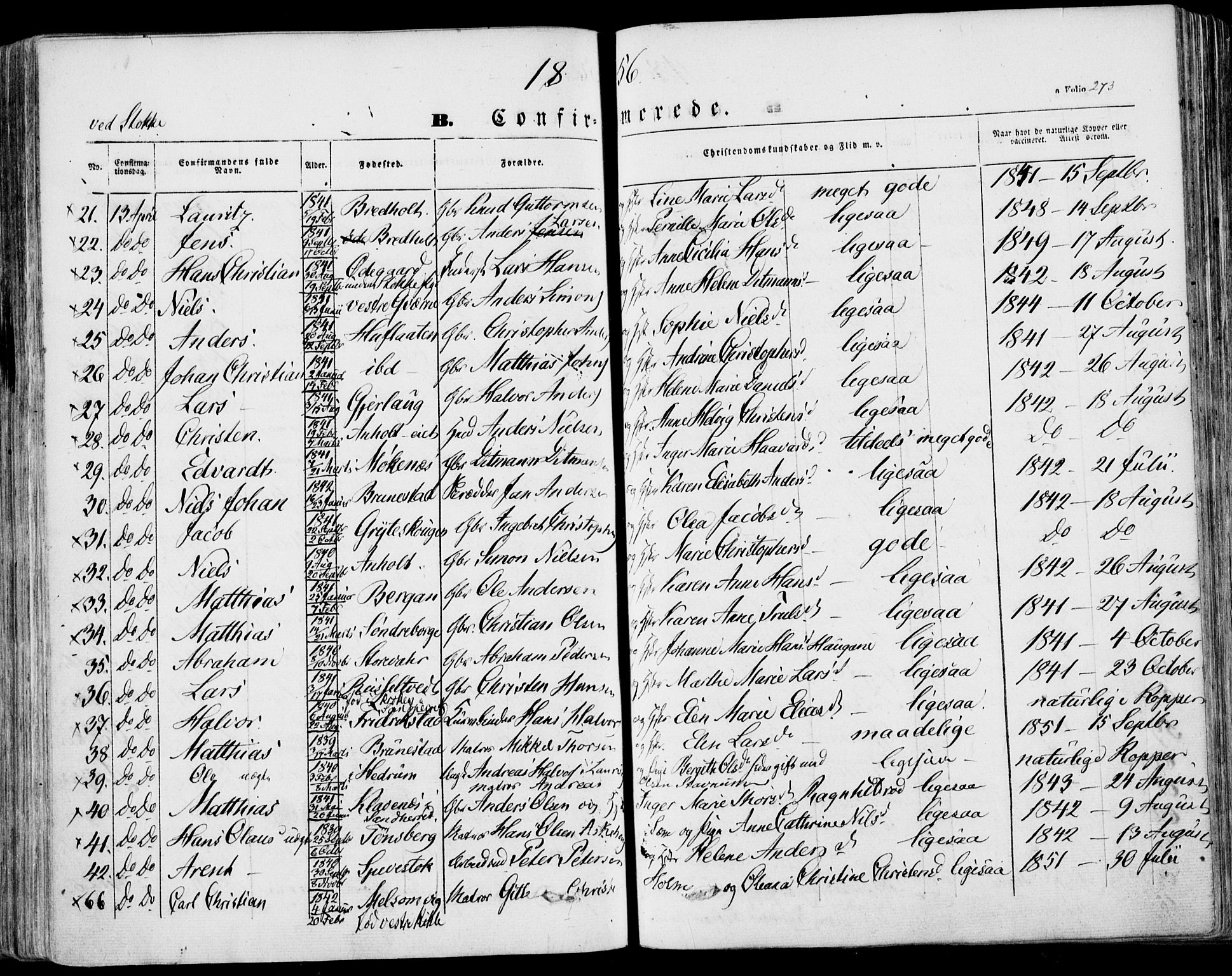 Stokke kirkebøker, AV/SAKO-A-320/F/Fa/L0007: Parish register (official) no. I 7, 1844-1857, p. 273