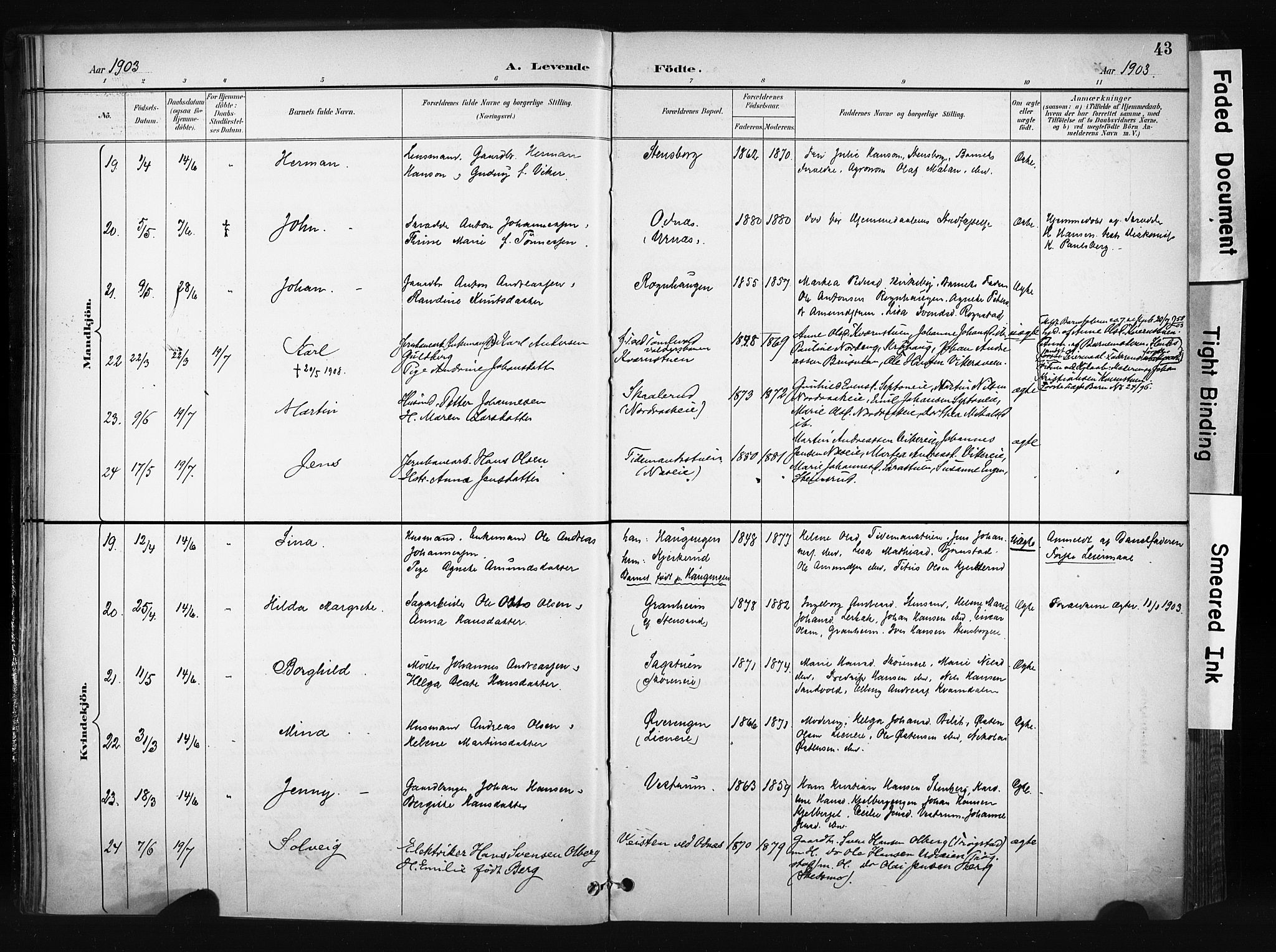 Søndre Land prestekontor, AV/SAH-PREST-122/K/L0004: Parish register (official) no. 4, 1895-1904, p. 43