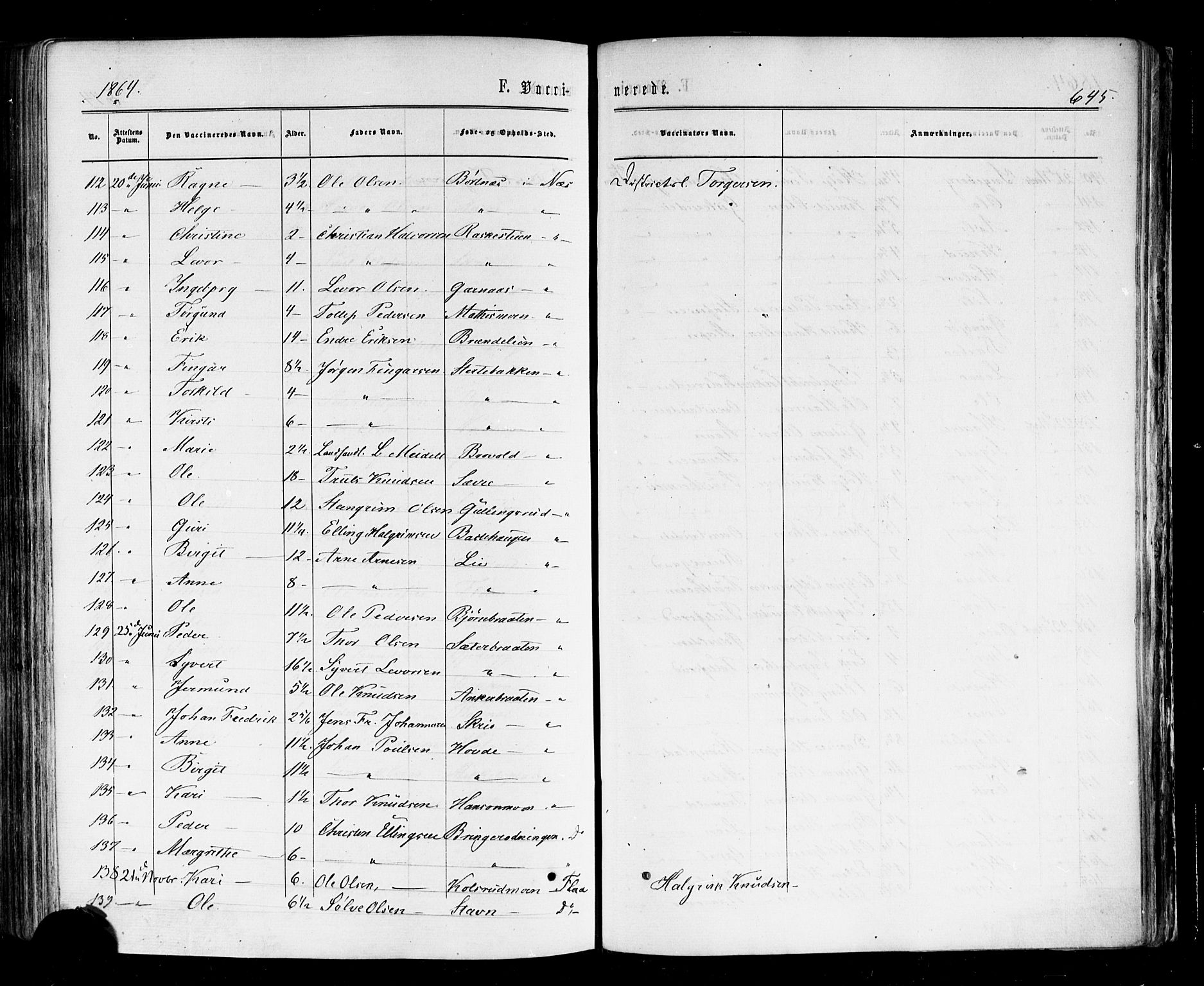 Nes kirkebøker, AV/SAKO-A-236/F/Fa/L0010: Parish register (official) no. 10, 1864-1880, p. 645