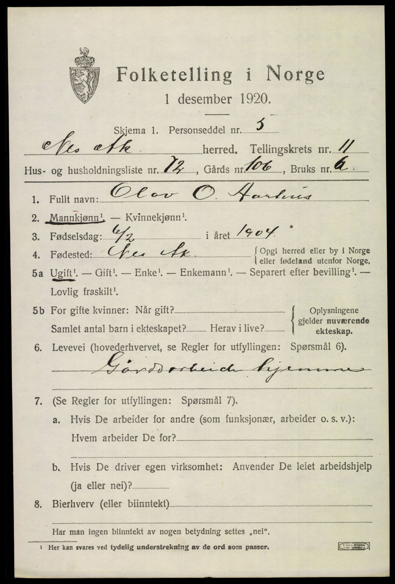 SAO, 1920 census for Nes, 1920, p. 12228