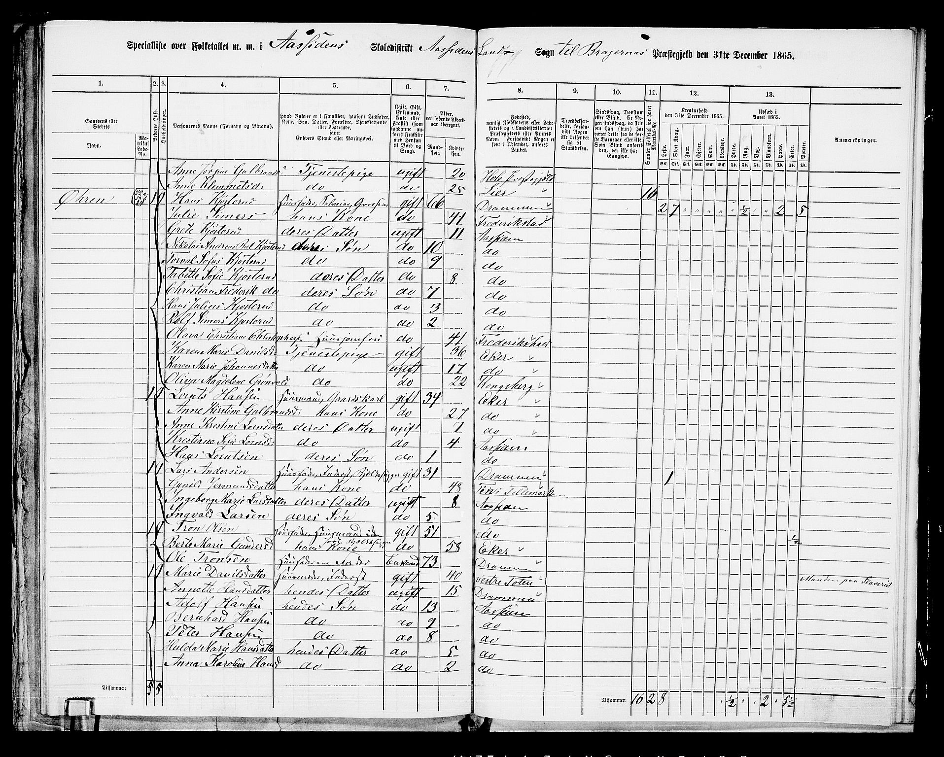 RA, 1865 census for Bragernes/Åssiden, 1865, p. 24