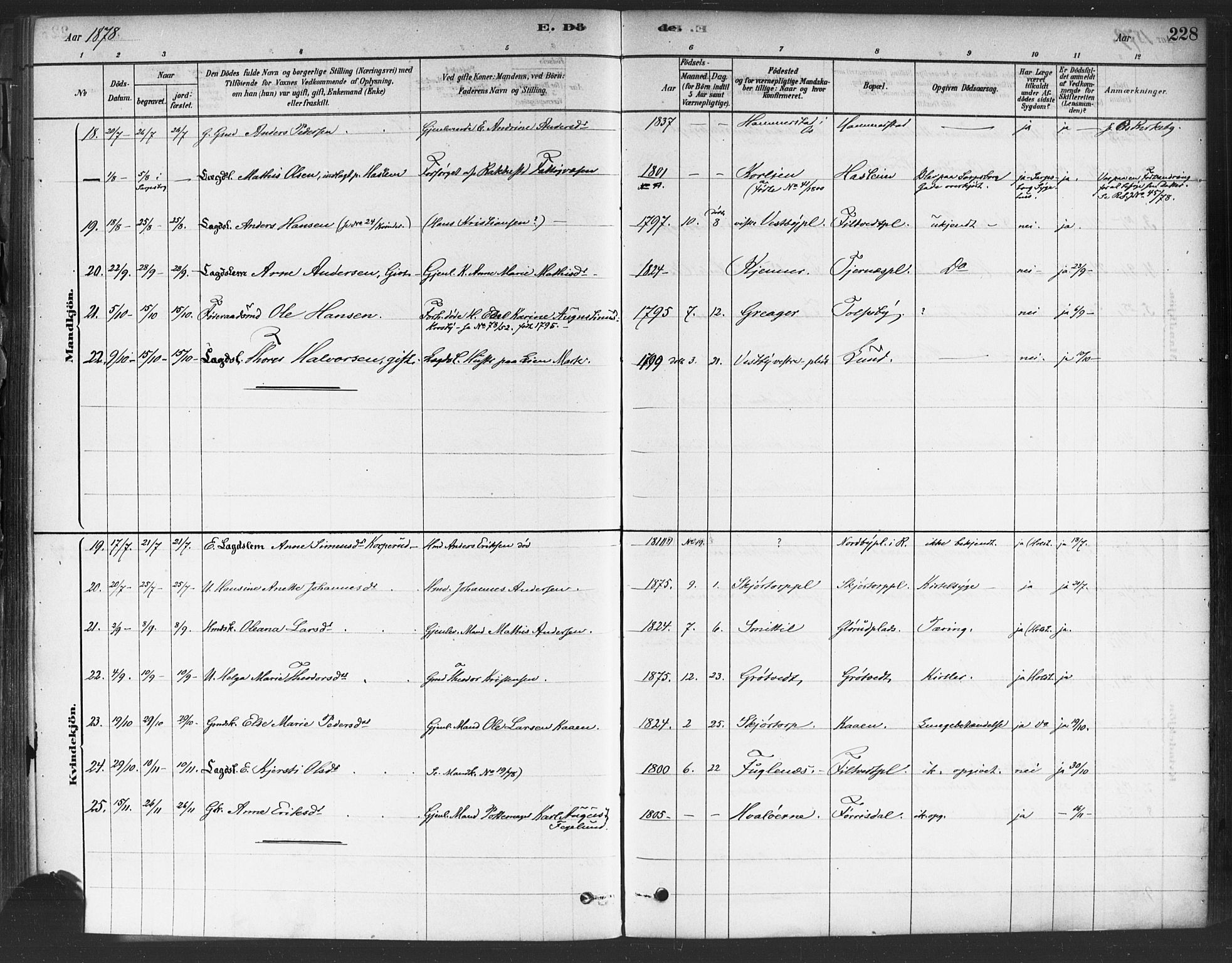 Rakkestad prestekontor Kirkebøker, AV/SAO-A-2008/F/Fa/L0012: Parish register (official) no. I 12, 1878-1893, p. 228