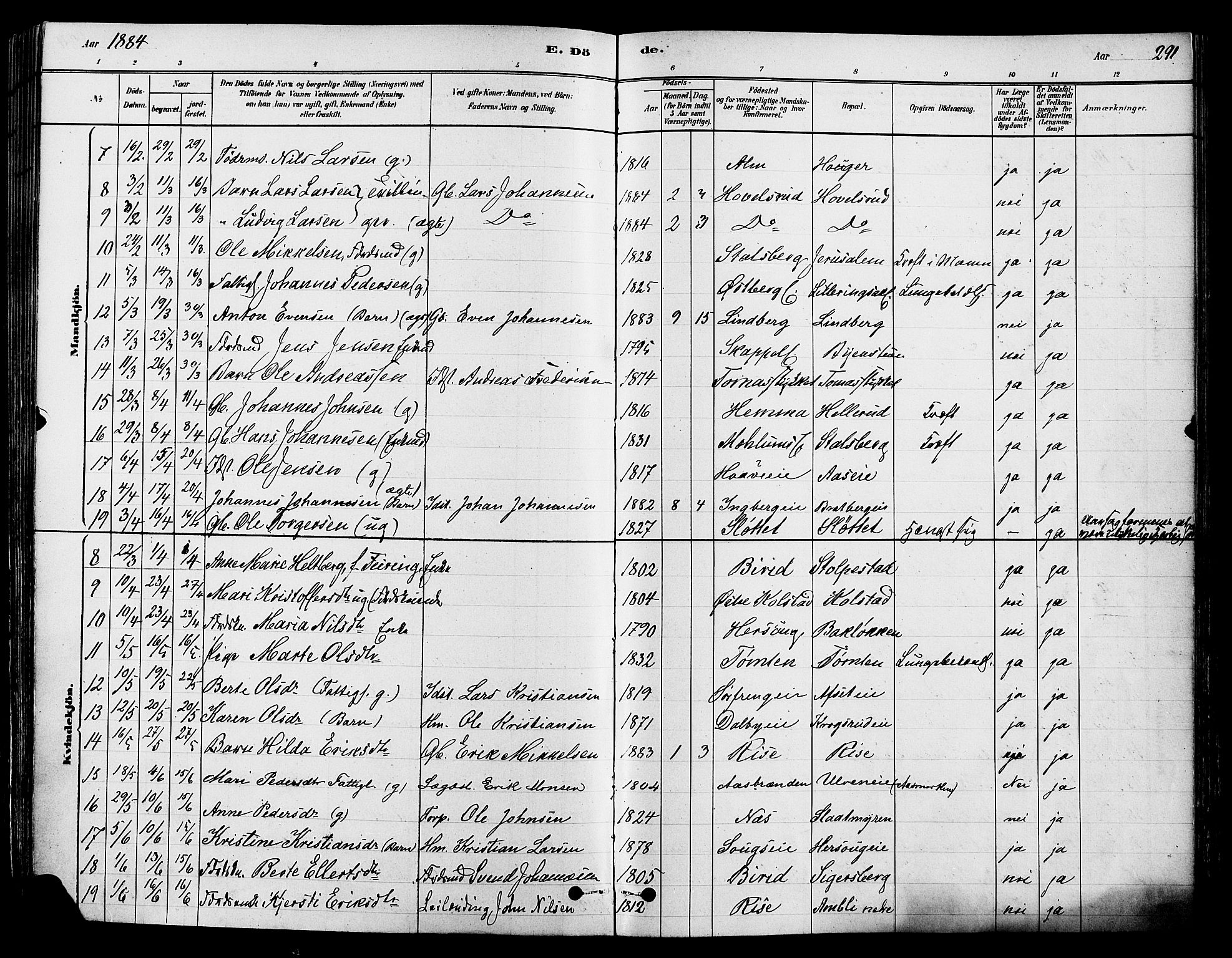 Ringsaker prestekontor, AV/SAH-PREST-014/K/Ka/L0012: Parish register (official) no. 12, 1879-1890, p. 291