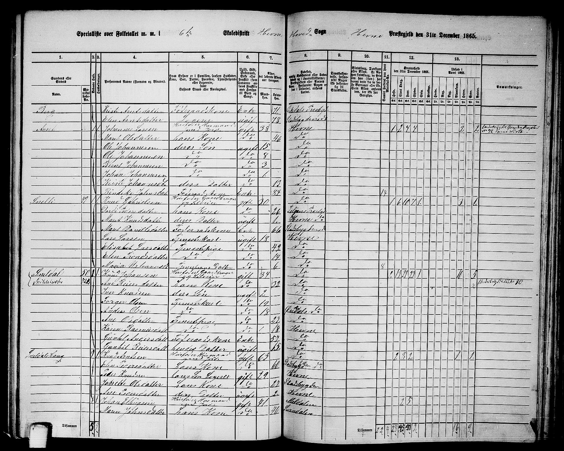 RA, 1865 census for Hemne, 1865, p. 133