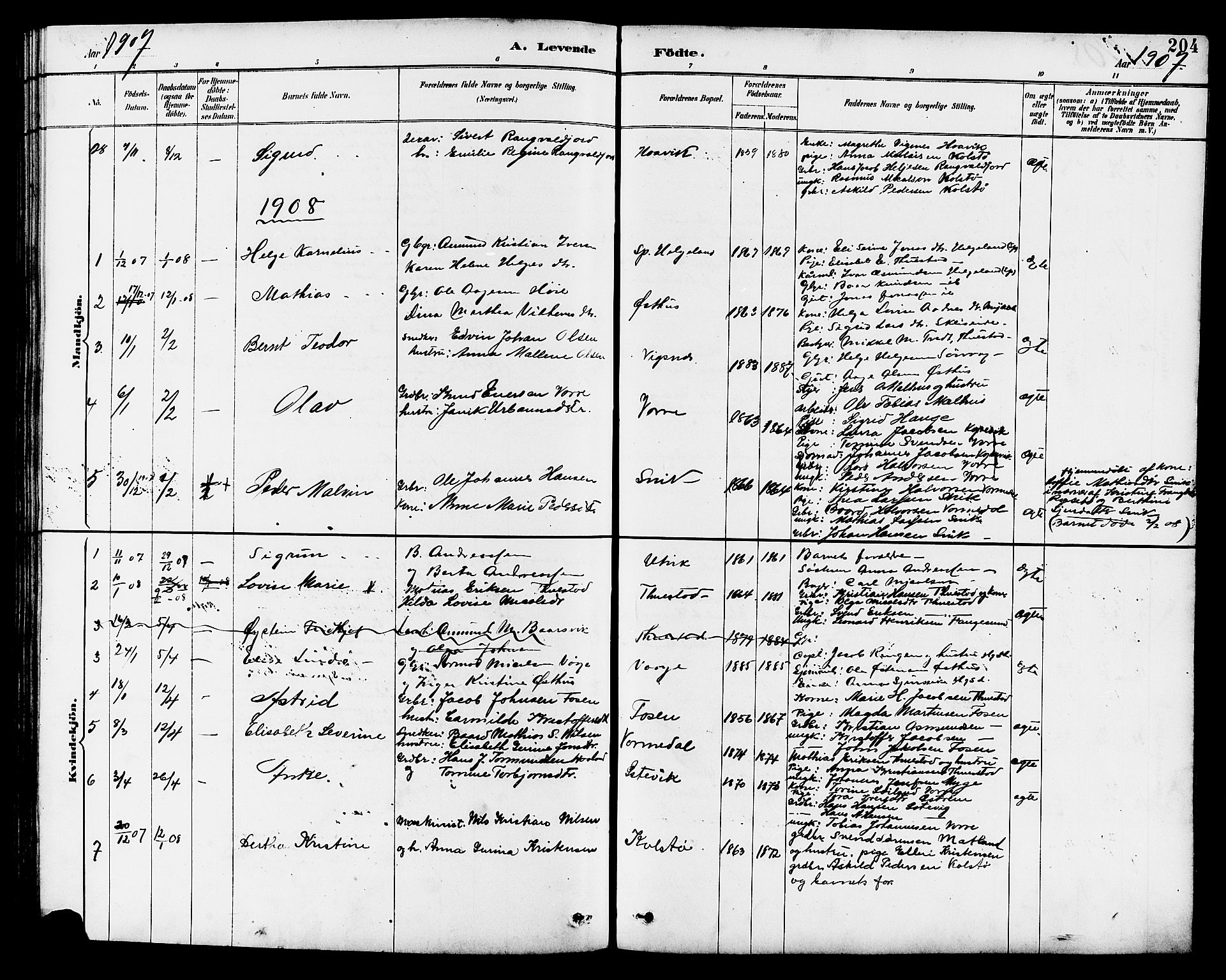 Avaldsnes sokneprestkontor, SAST/A -101851/H/Ha/Hab/L0007: Parish register (copy) no. B 7, 1885-1909, p. 204
