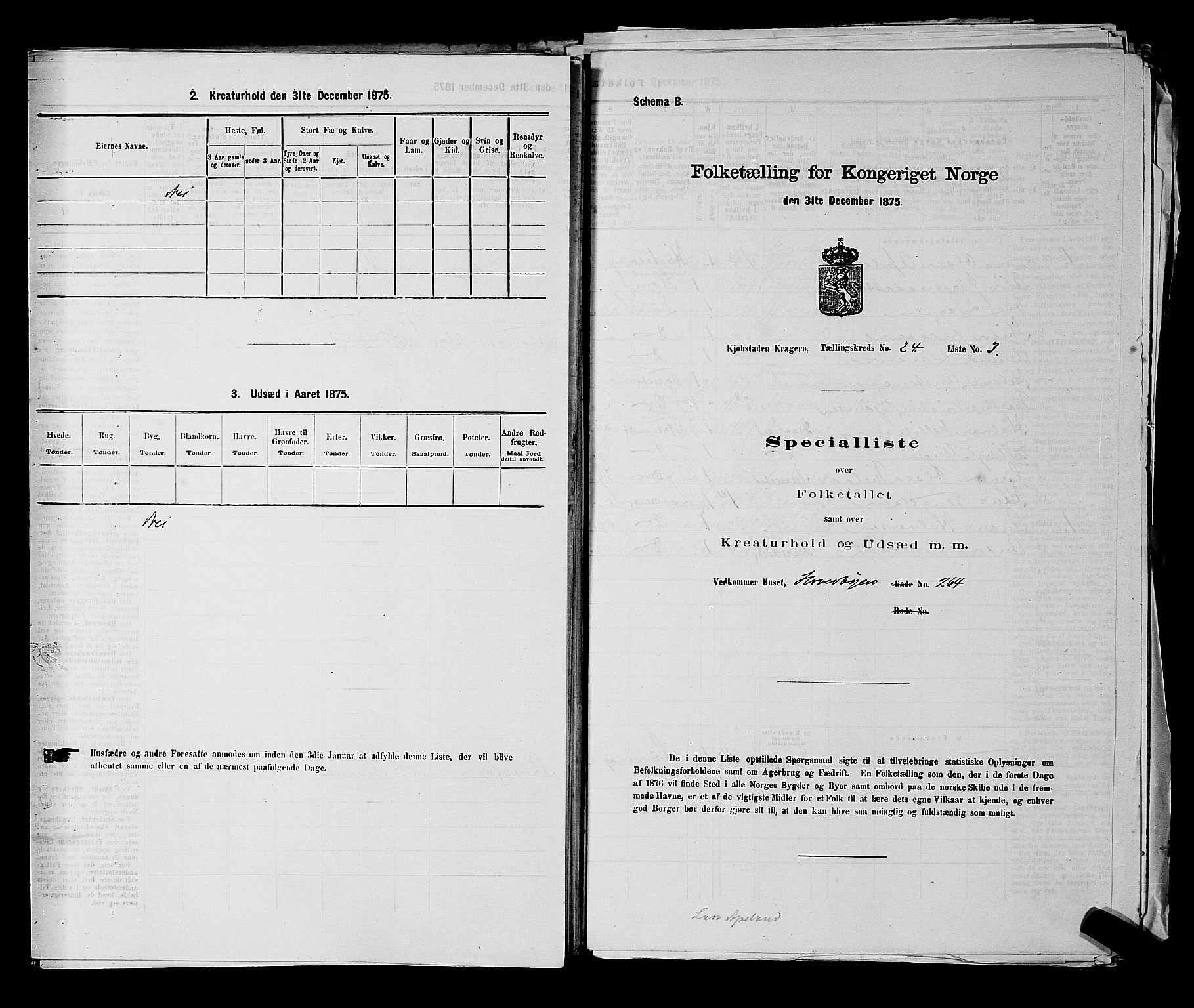 SAKO, 1875 census for 0801P Kragerø, 1875, p. 515