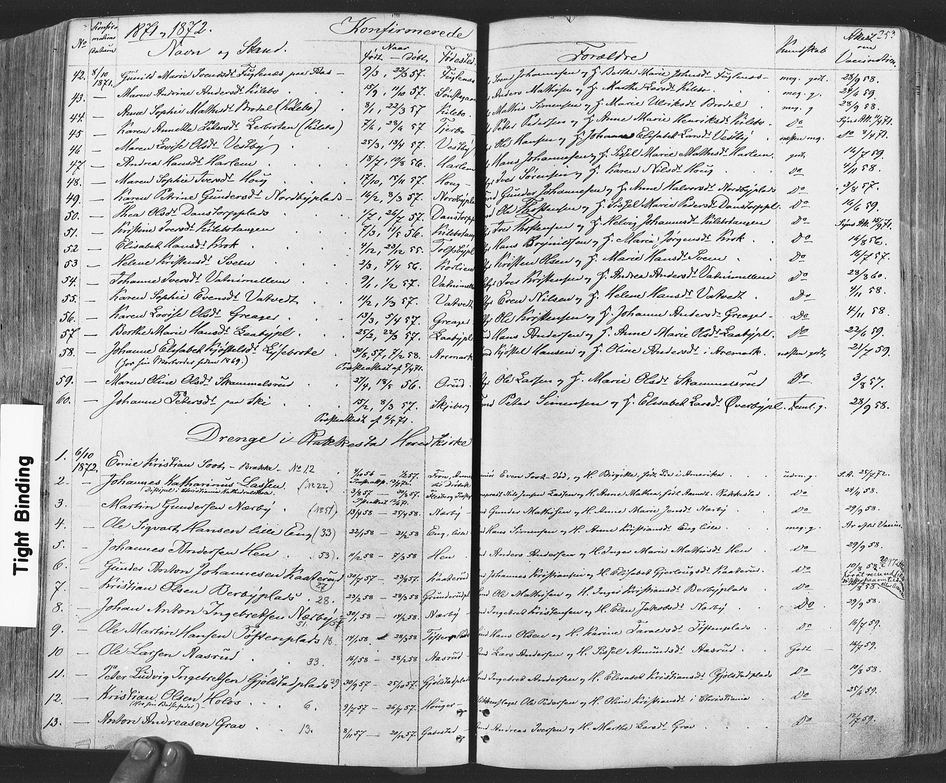 Rakkestad prestekontor Kirkebøker, AV/SAO-A-2008/F/Fa/L0011: Parish register (official) no. I 11, 1862-1877, p. 253