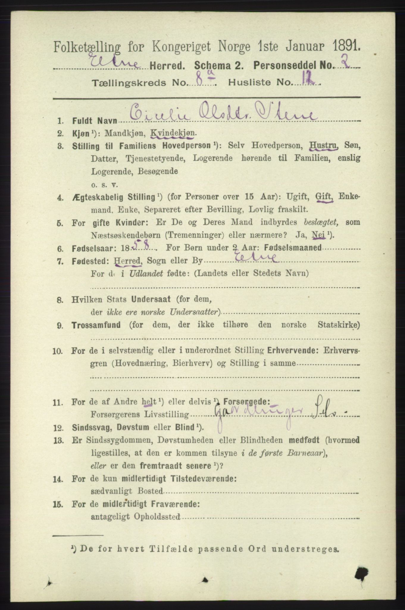 RA, 1891 census for 1211 Etne, 1891, p. 1586