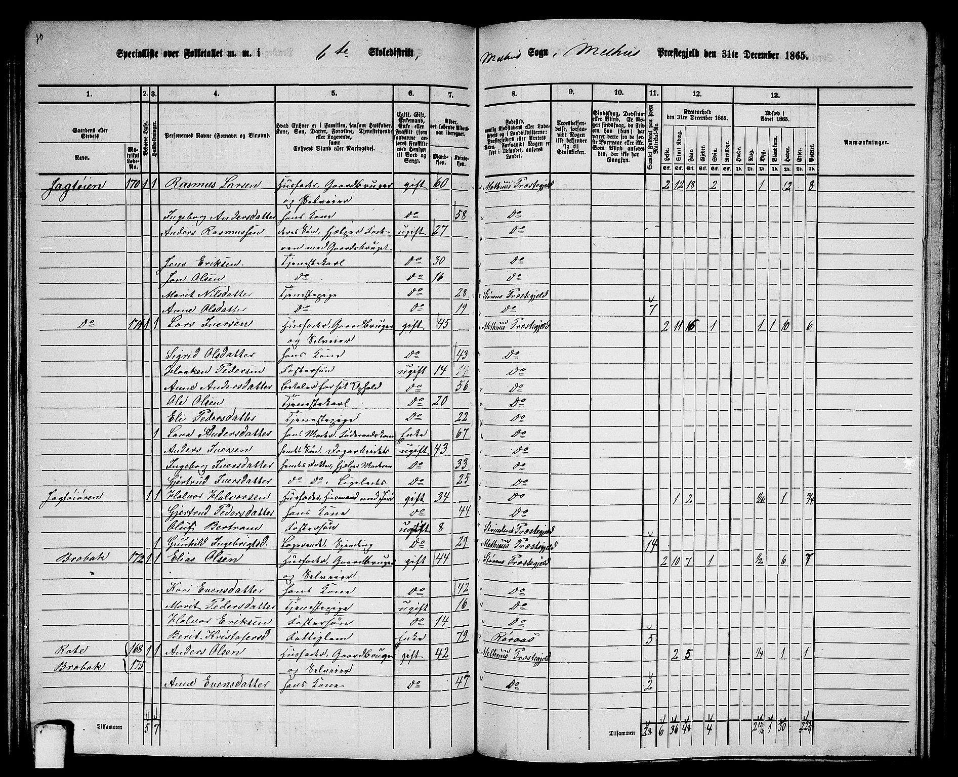 RA, 1865 census for Melhus, 1865, p. 119