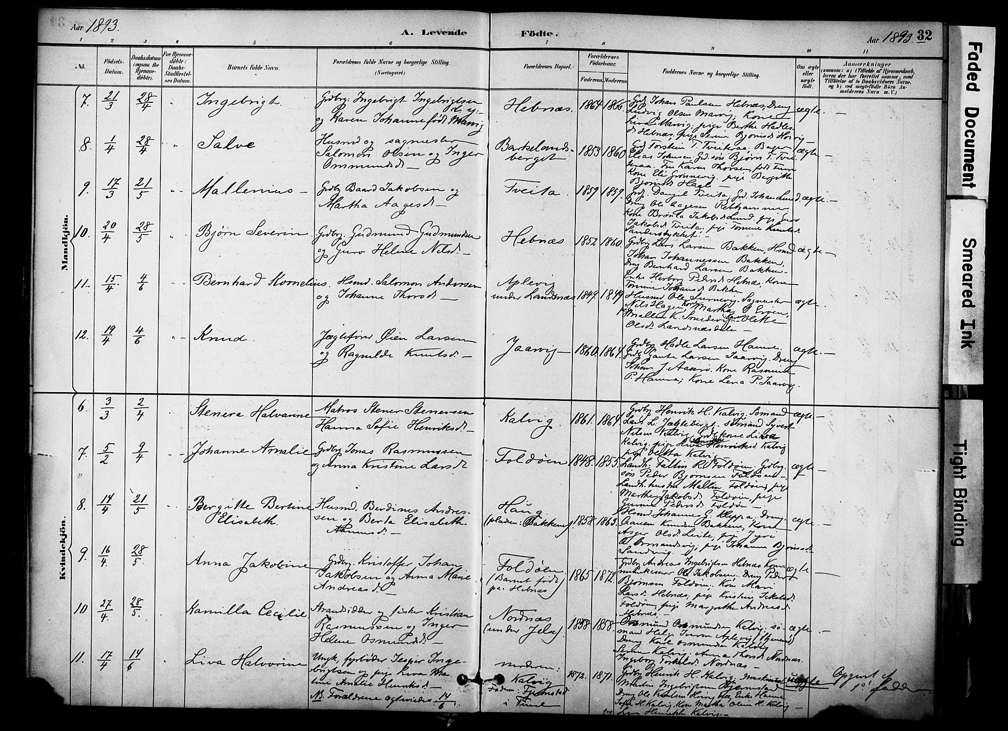 Jelsa sokneprestkontor, AV/SAST-A-101842/01/IV: Parish register (official) no. A 10, 1884-1906, p. 32