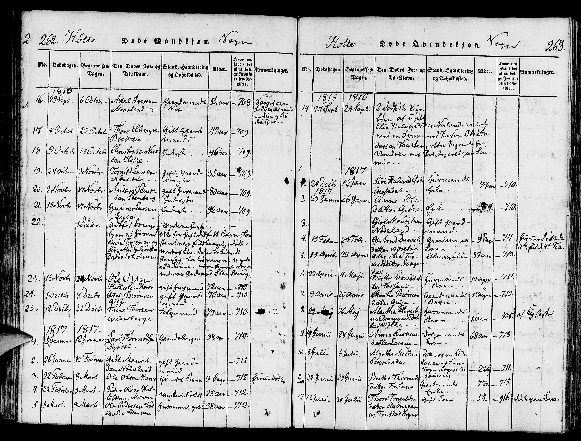 Strand sokneprestkontor, SAST/A-101828/H/Ha/Haa/L0004: Parish register (official) no. A 4 /2, 1816-1833, p. 262-263