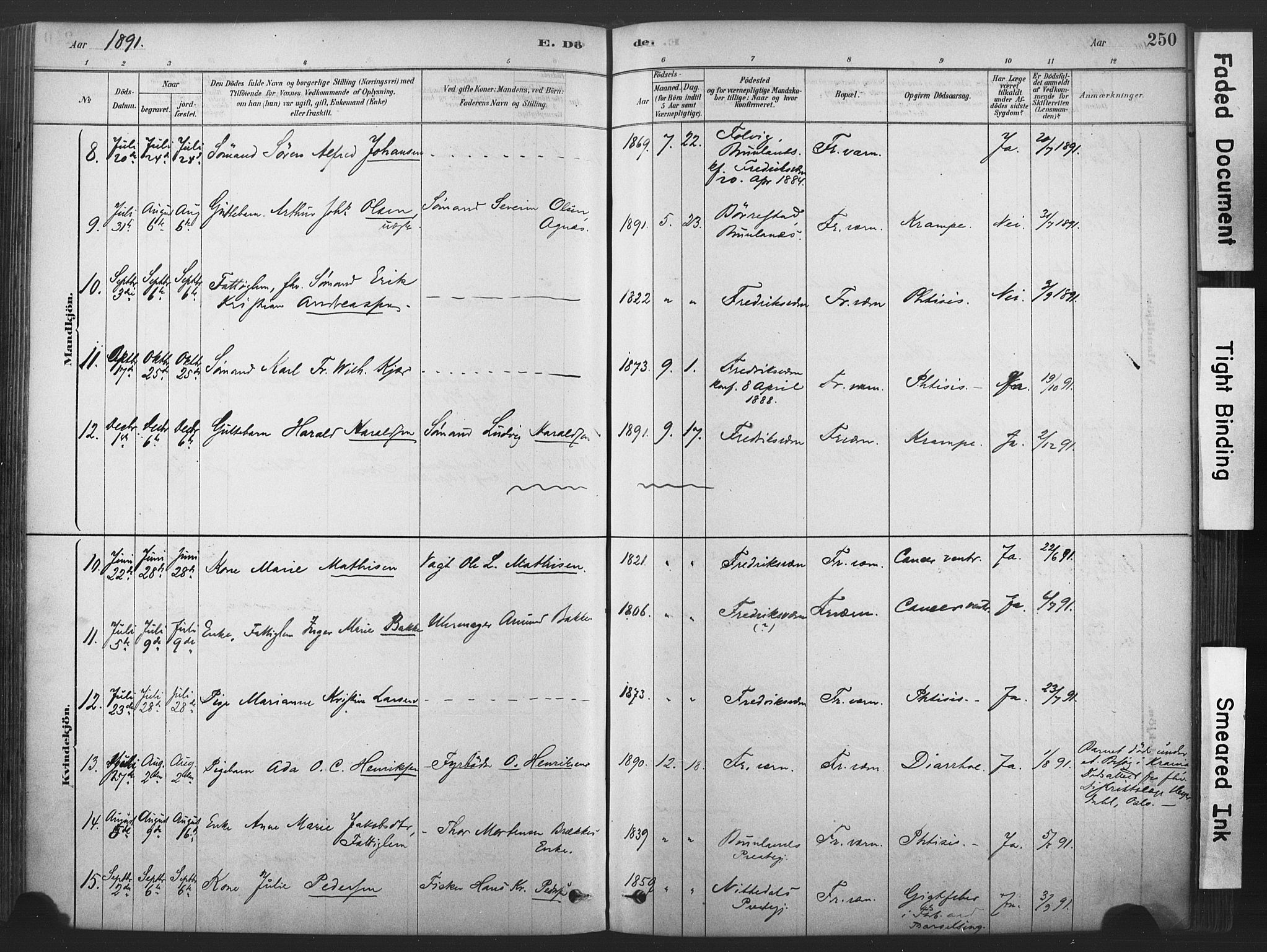 Stavern kirkebøker, AV/SAKO-A-318/F/Fa/L0008: Parish register (official) no. 8, 1878-1905, p. 250